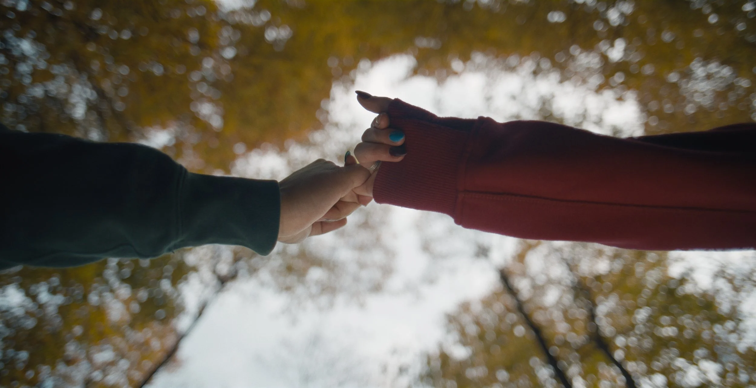 Still 2026-02-09 180101_1.1.8.jpg