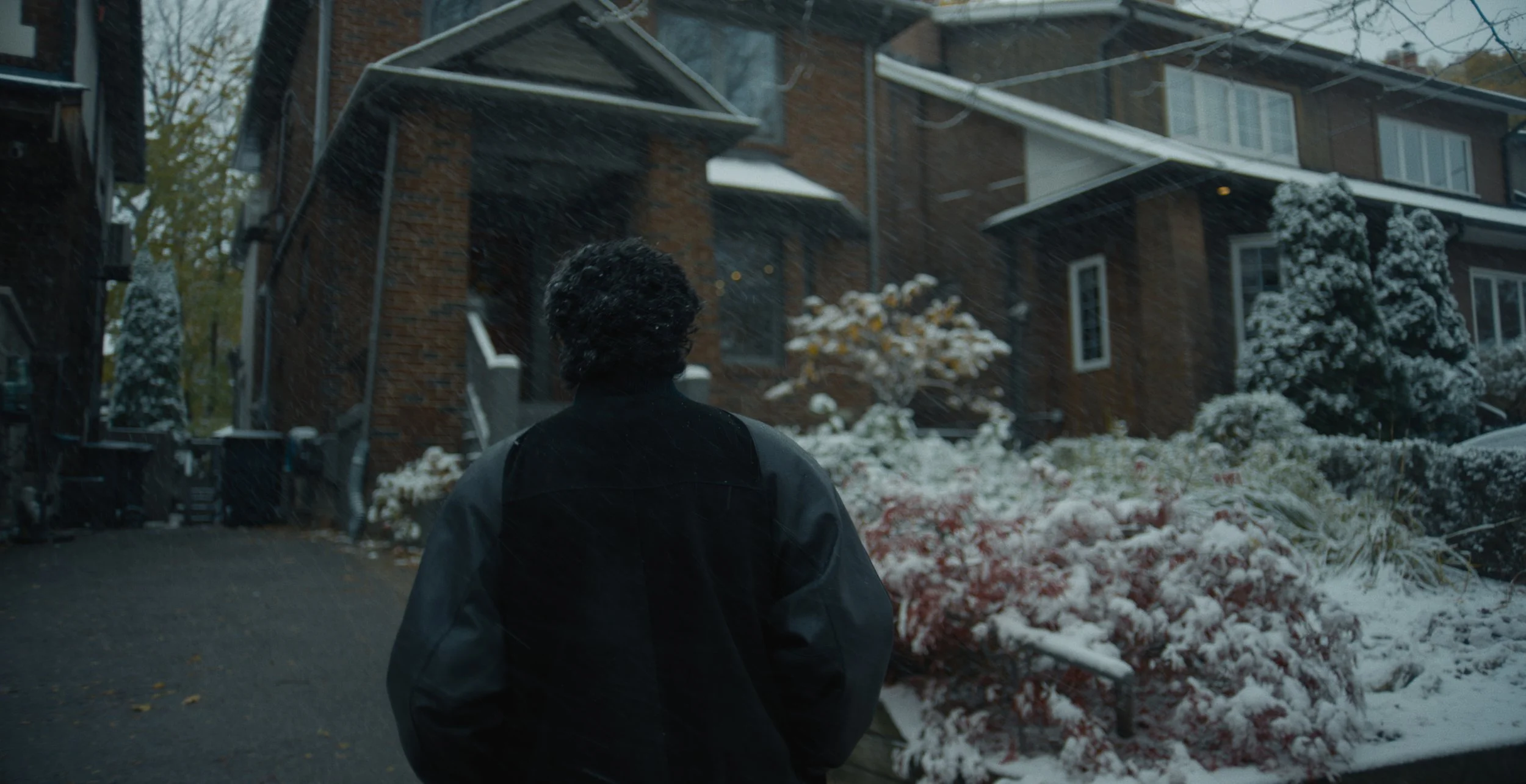 Still 2026-02-09 180101_1.13.11.jpg