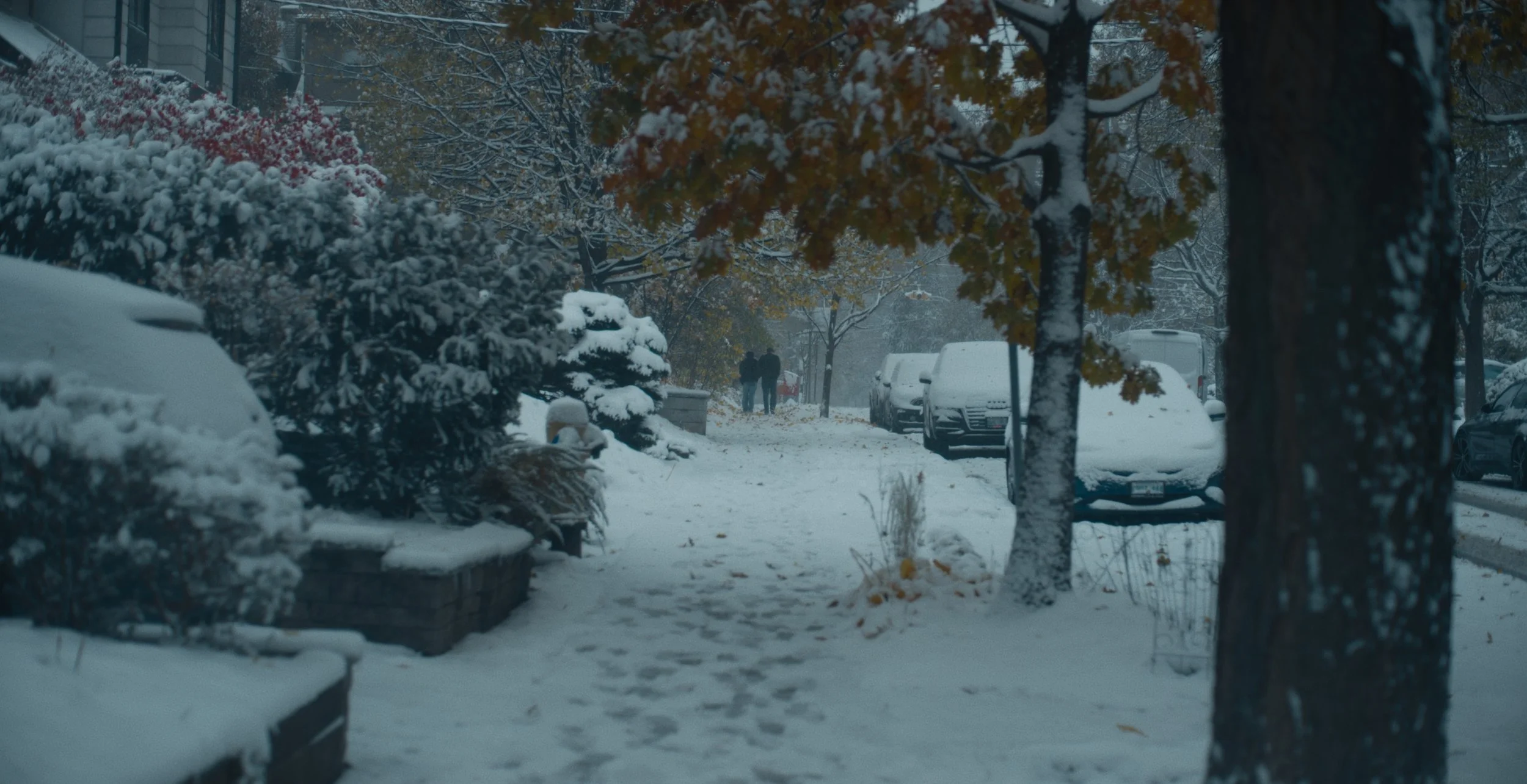 Still 2026-02-09 180101_1.28.17.jpg