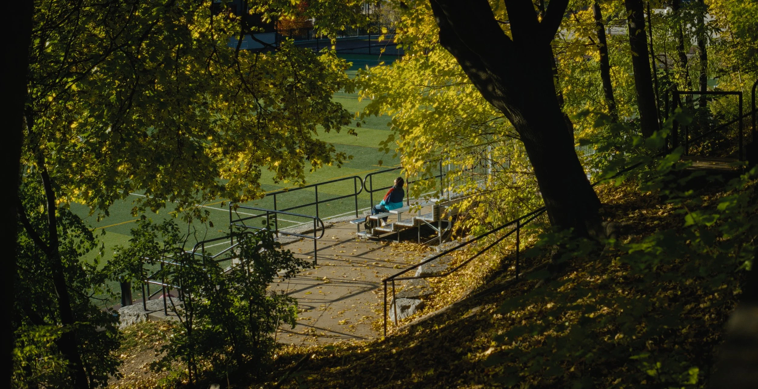 Still 2026-02-09 180101_1.3.43.jpg