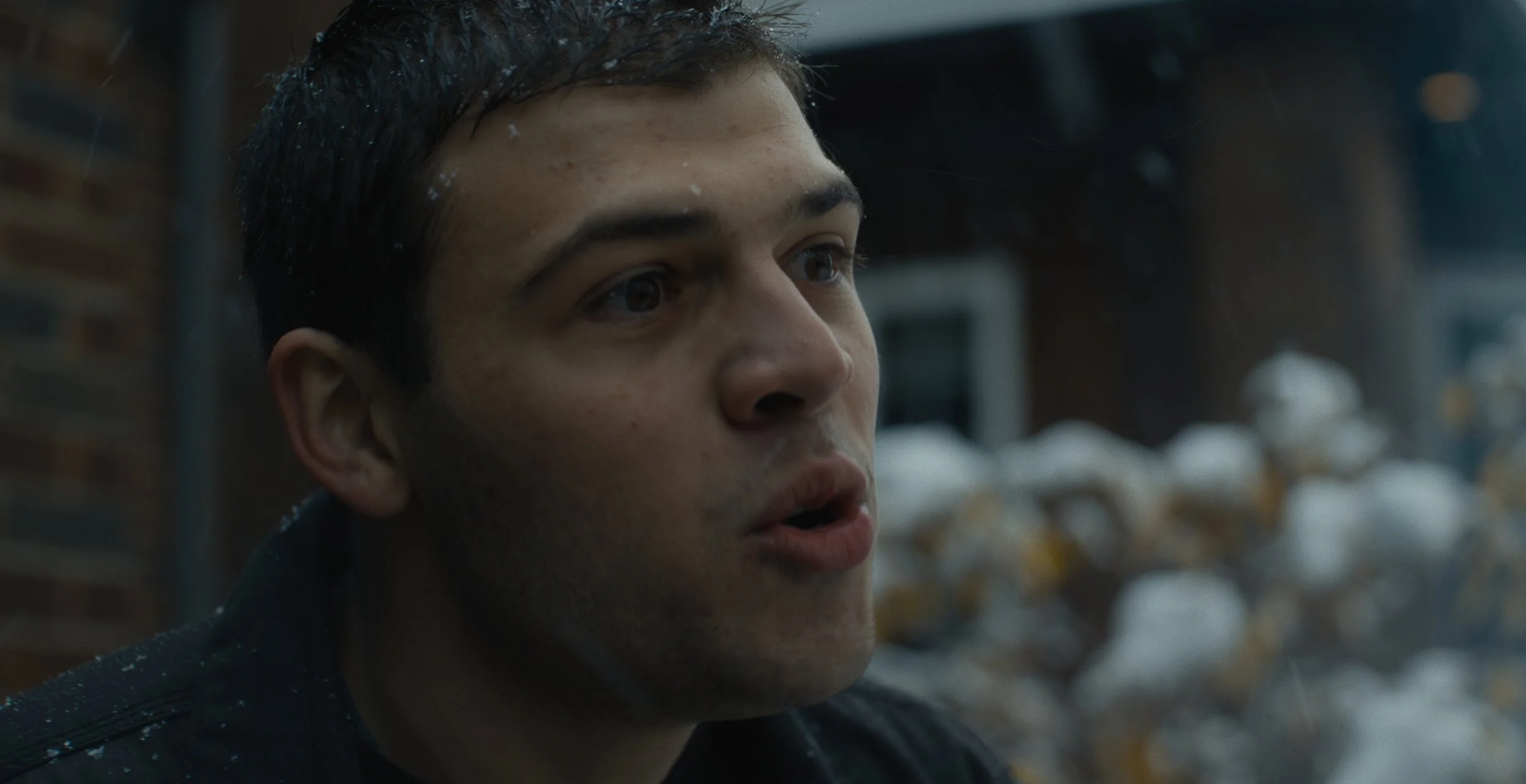 Still 2026-02-09 180101_1.13.23.jpg