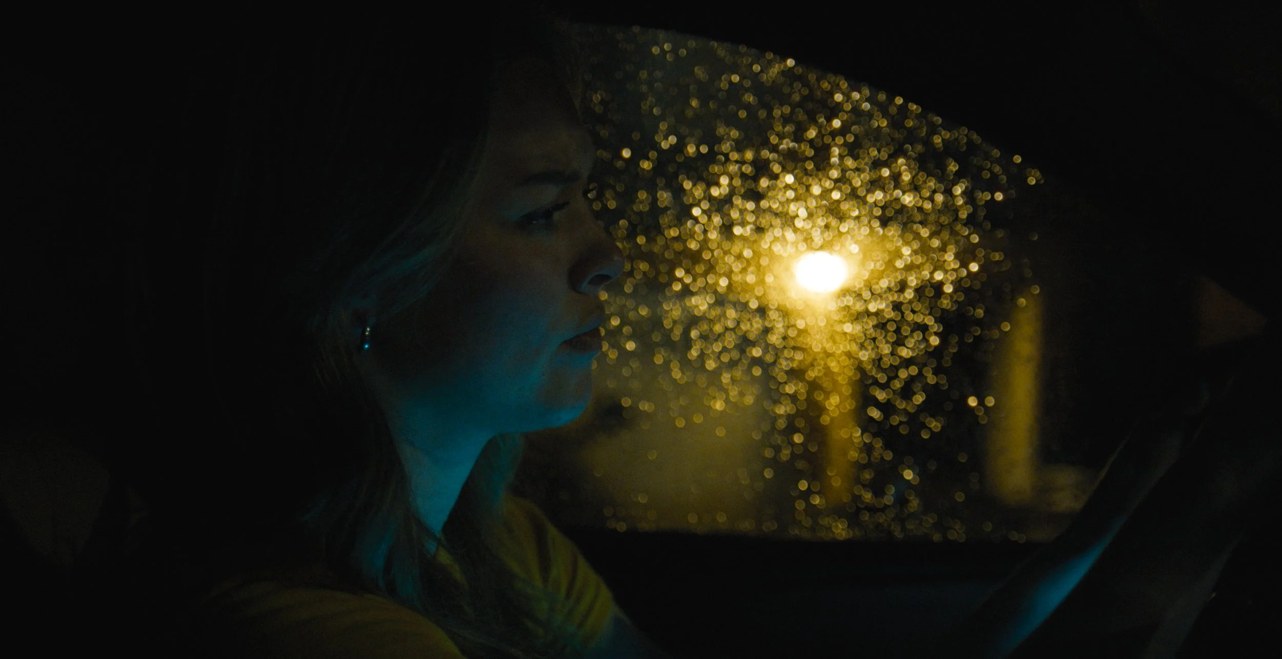 Still 2026-02-09 180101_1.13.80.jpg