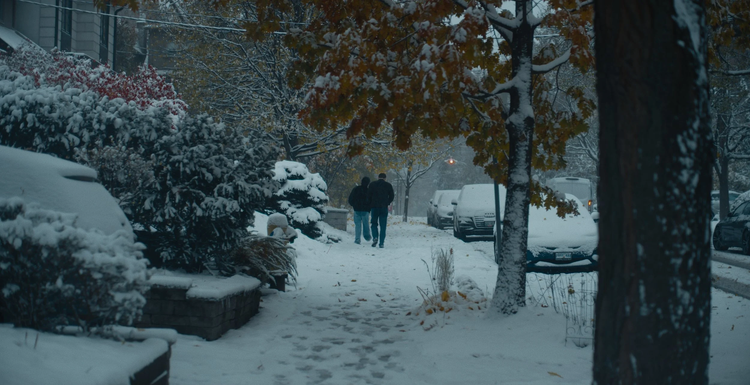 Still 2026-02-09 180101_1.28.3.jpg