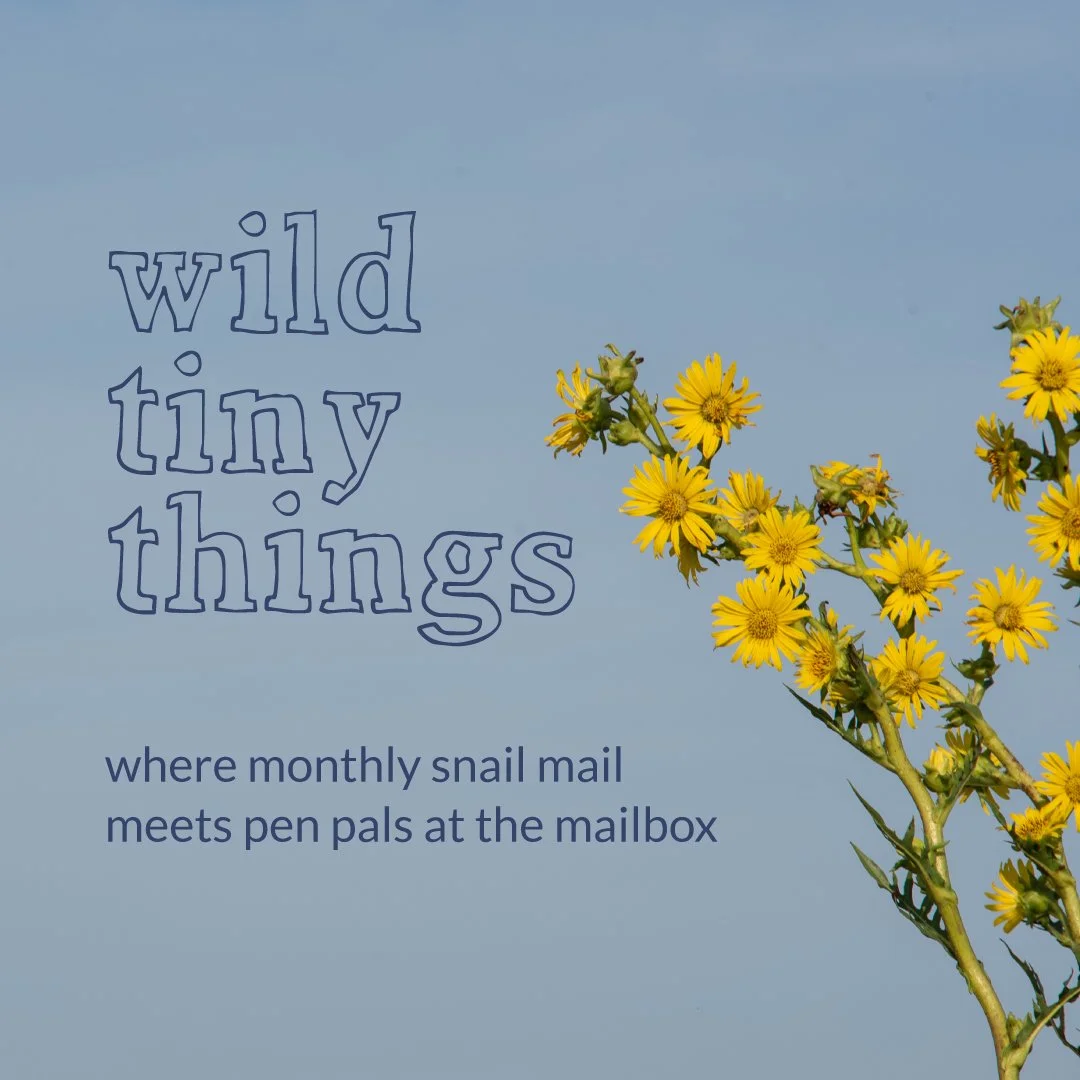 Wild Tiny Things 12 Months