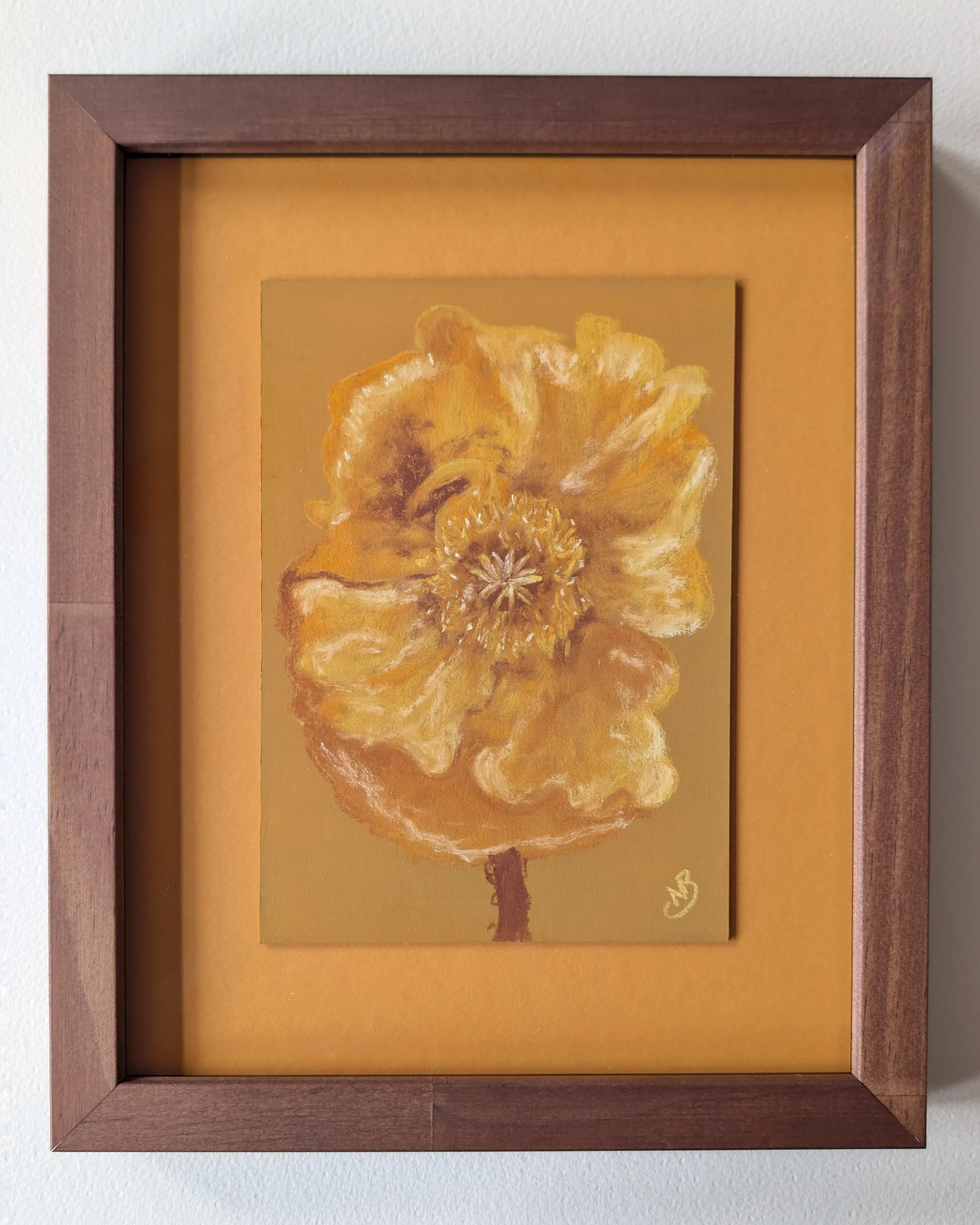 Yellow Poppy