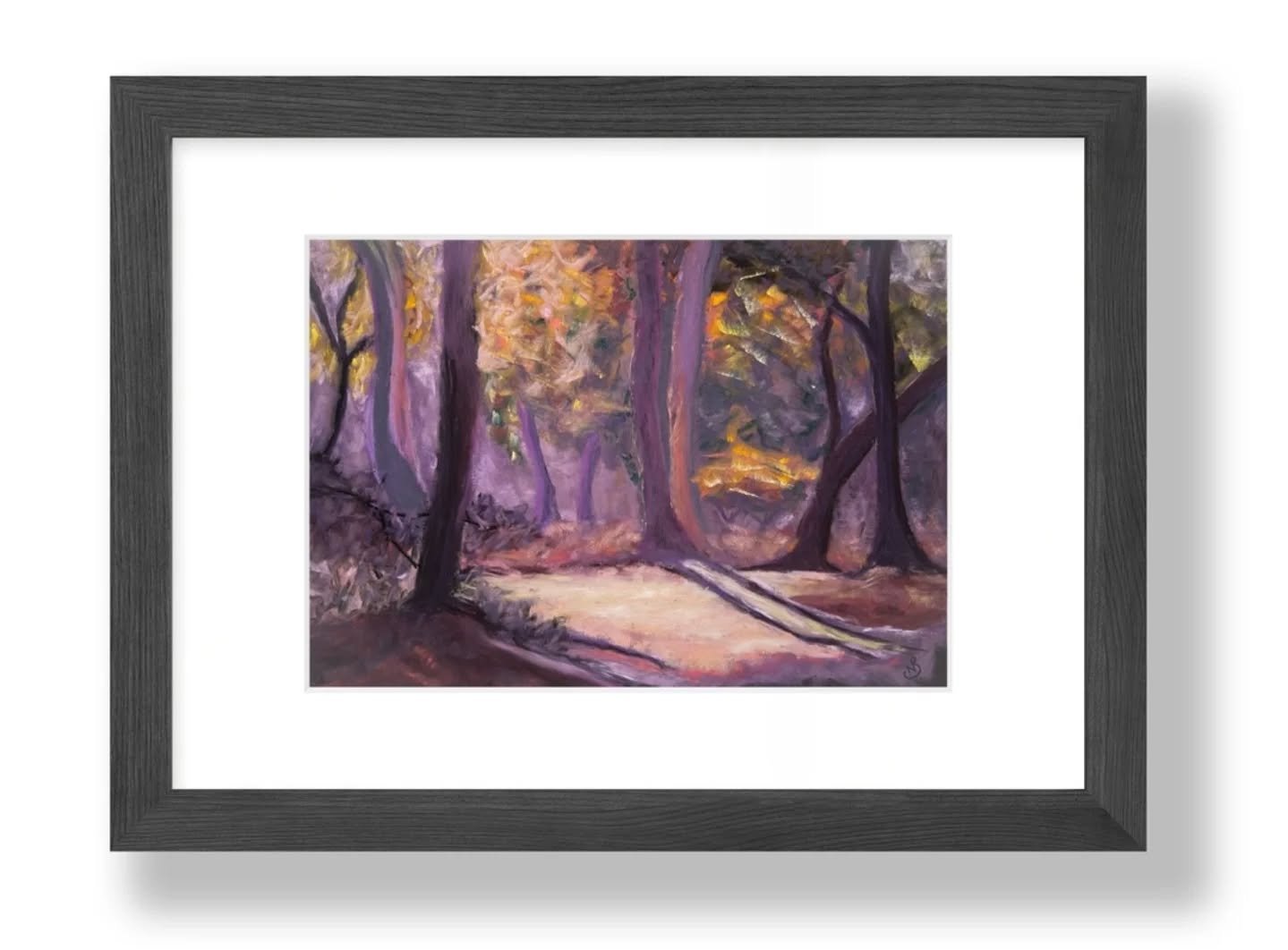 Morning light spills across violet trunks like a spell; unexpected, but deeply needed. Because even when the world feels like it&rsquo;s unraveling, wonder still shows up. Quietly. Boldly. Without asking permission.
 .
Some paths don&rsquo;t follow l