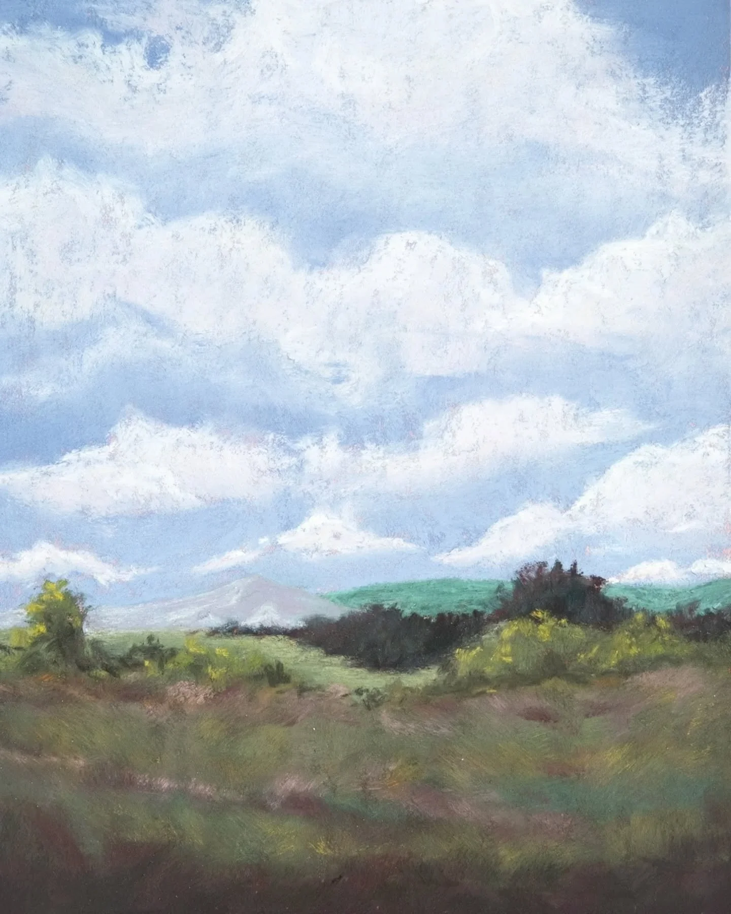 Ever look at a painting and feel your shoulders drop two inches?
.
Meet Kansas Perspective, three originals built from that wide-open, breath-deepening space the prairie gives me every time. These aren&rsquo;t just landscapes; they&rsquo;re quiet reb