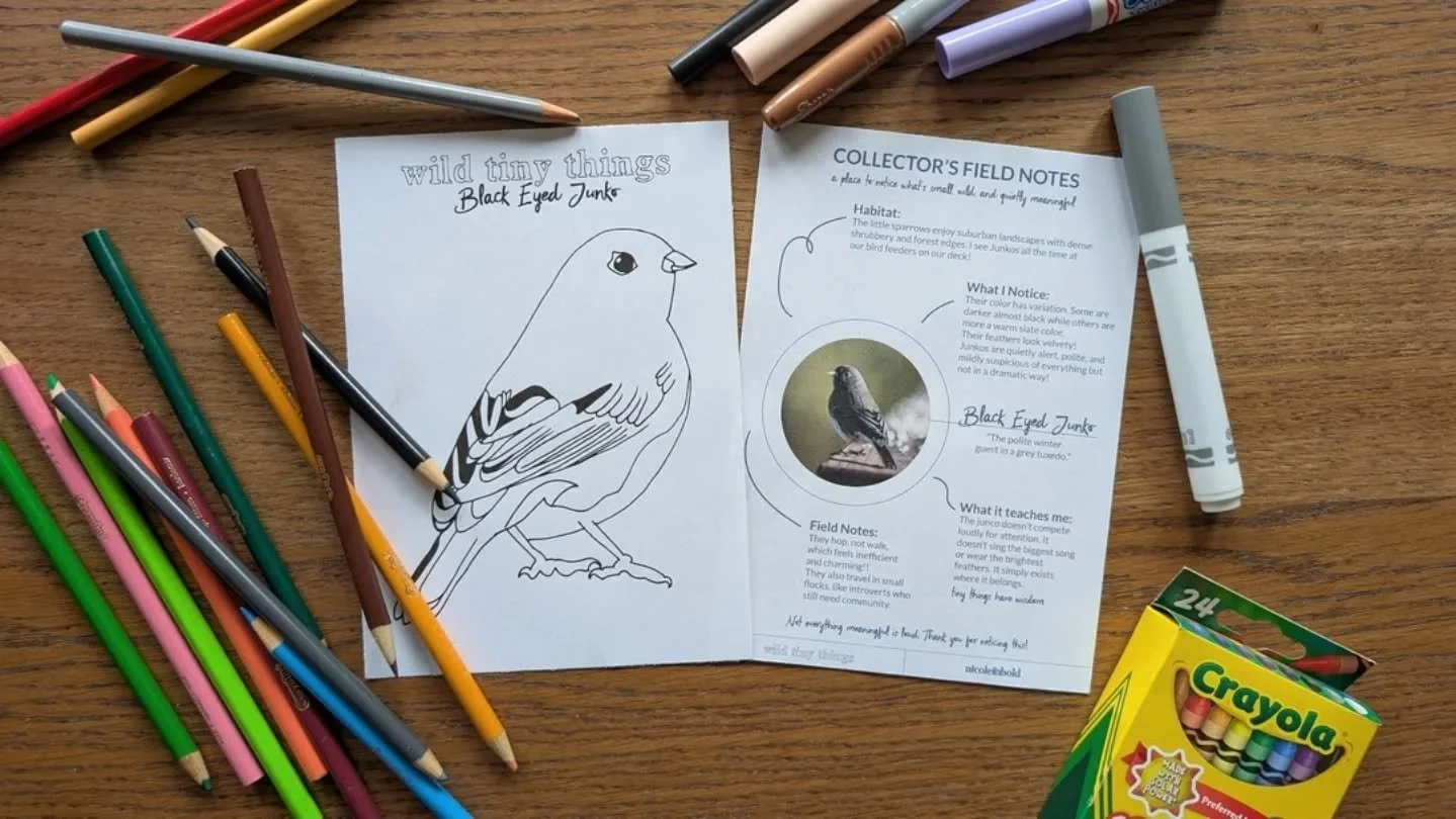 This is for the ones who still open mail slowly.
.
🎉Wild Tiny Things is here!!🎉
.
A monthly pen pal ritual filled with
small art, big noticing, quiet magic, whimsy,
and a little well-placed sass.🤓
.
Small enveloped goodness, waiting for you.
.
Lin