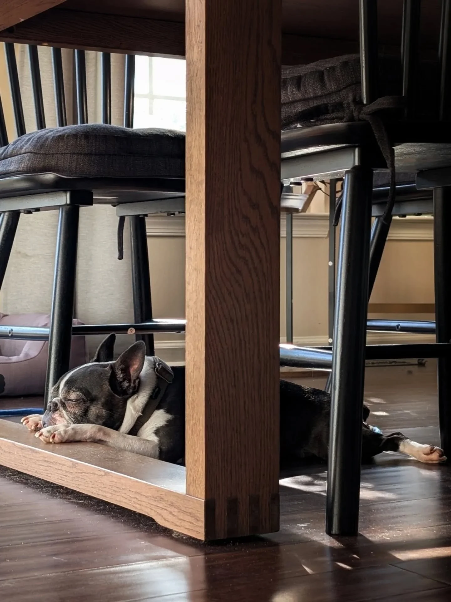 Every studio has a rhythm. This is part of mine.
.
Both furbabies supervise quietly, and not so quietly (someone is an Olympic level snorer) from a distance. They have watched and slept through every season of this business from the floor, the window