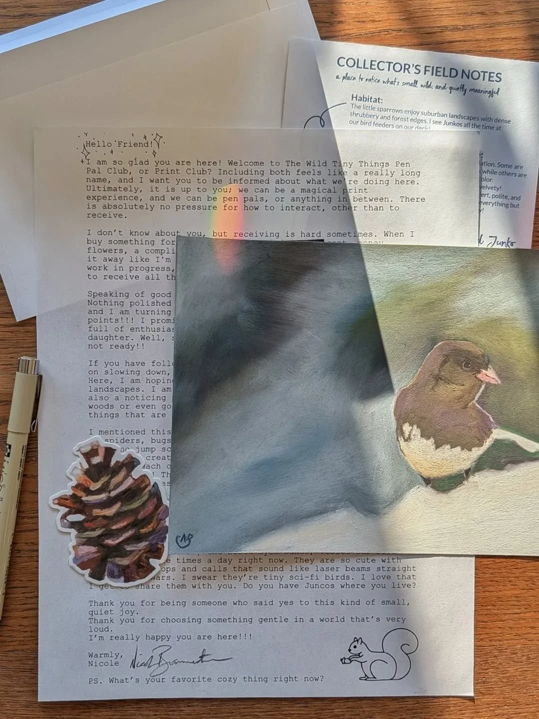 I'm excited about this! This mail club idea started because I want art to feel closer.
.
Wild Tiny Things is a monthly letter I send into the world for people who crave something small, tactile, and intentional. It is art you can hold in your hands, 