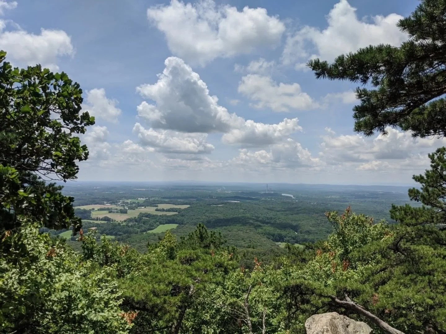 I want to paint more of the places we actually live with.
.
If you are local to Maryland or Northern Virginia and have a favorite spot you return to for walking, thinking, or breathing, tell me! I am gathering locations for future plein air days!
.
S