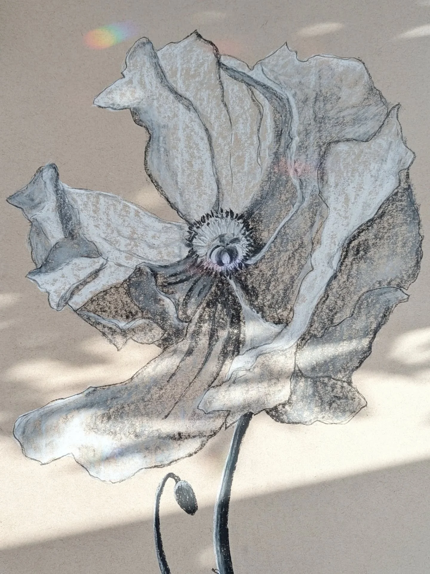 Limiting color feels vulnerable.
.
When I started "Open," I removed my usual palette. No bright distraction. No safety net of color families. Just black charcoal, white soft pastel, and space.
.
It felt exposed. And I loved it!
.
This poppy