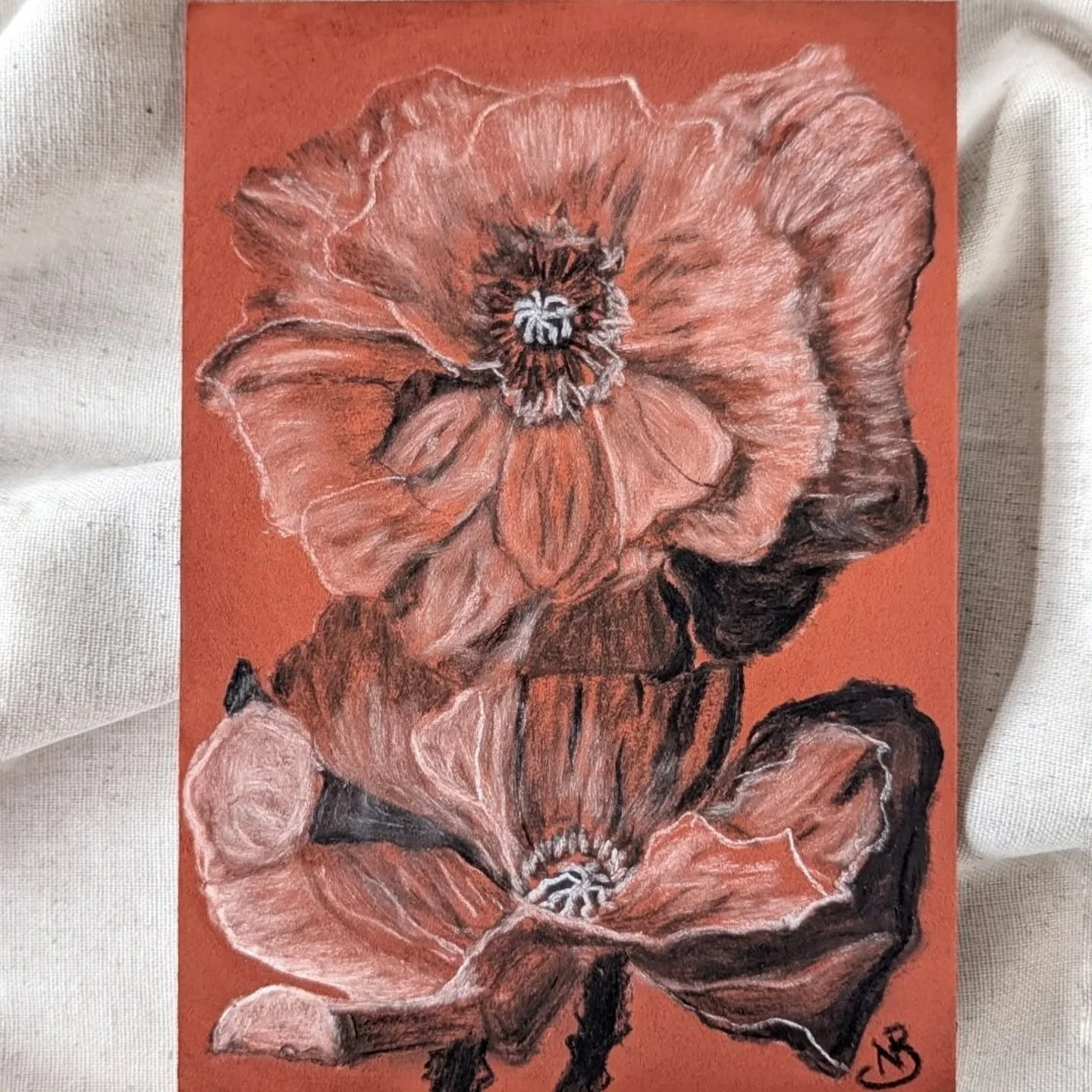 You are going to see poppies throughout the month again. This time in color! I've had so much fun playing and experimenting with these! 
.
Seriously tickled pink!
.
When a subject will not let me go, I follow it.
.
This is Orange Poppy. One of the bo