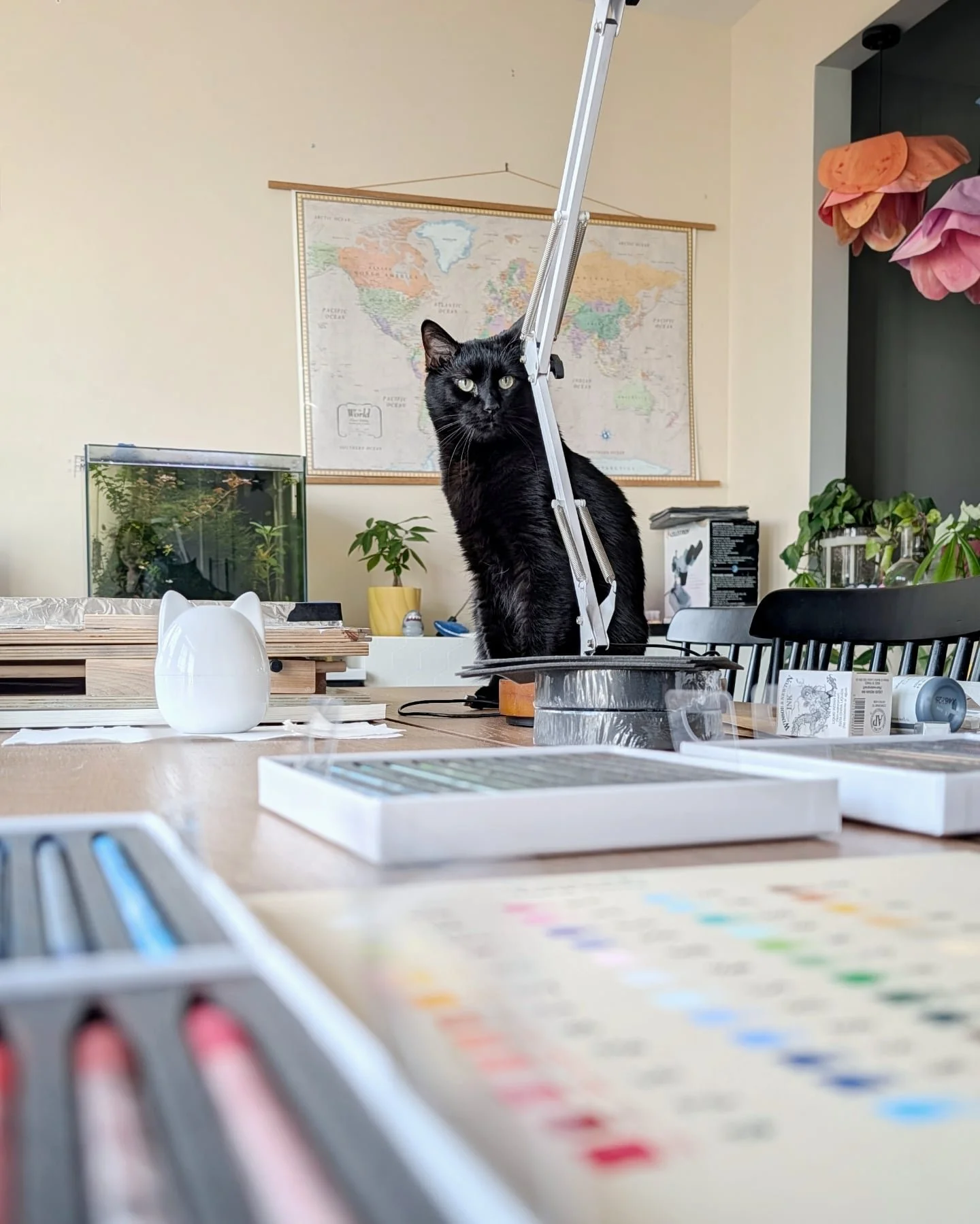 Studio assistant. Zero credentials. Maximum supervision!!
.
Creating at home means life and art overlap, and I wouldn't have it any other way! Here, Mr. Simon is watching over me as I test Sennelier's pastel pencils by creating a color swatch page. I