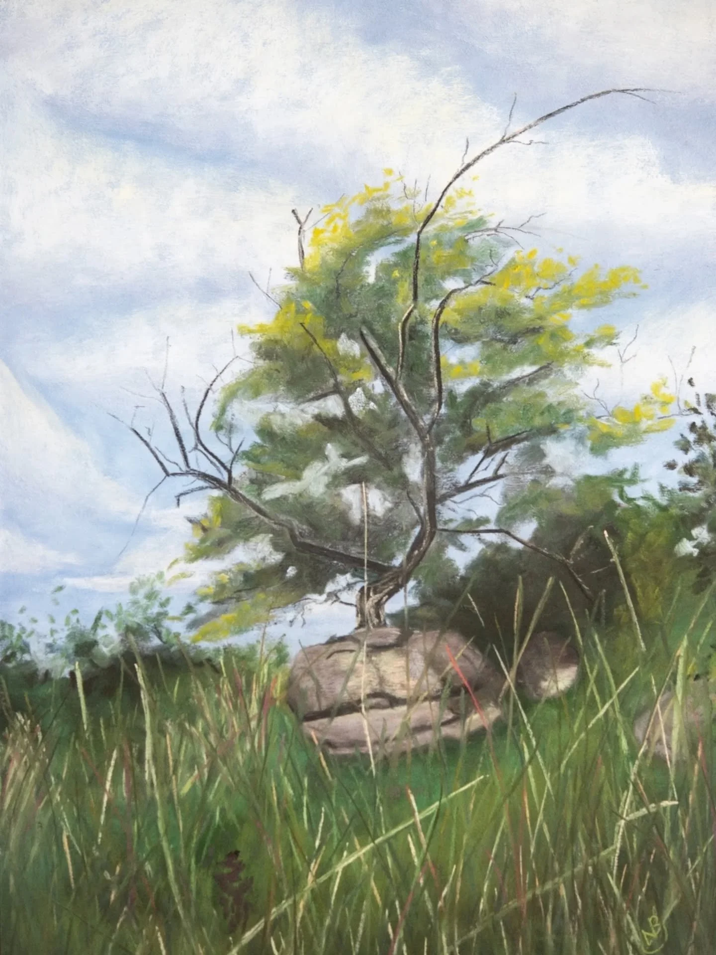 Between a Rock and a Hard Place.
.
I have been painting this collection for over a year and have barely taken any behind-the-scenes images or video.
.
That just means that each painting came from a flow state, and I love that I was so present for eac