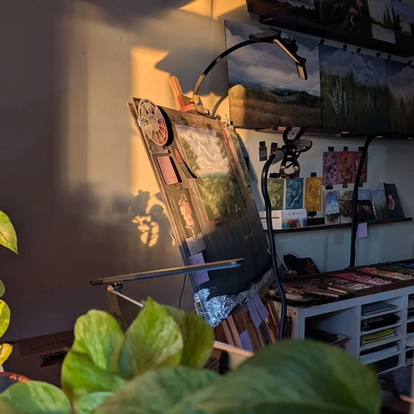 I cannot get over the morning light in this season!😍 
.
Something is coming! I am about to ask you for help with one of my favorite ideas I've had in a while. Stay close!
.
Join the newsletter to receive all the information first!! (link in bio)
.
.