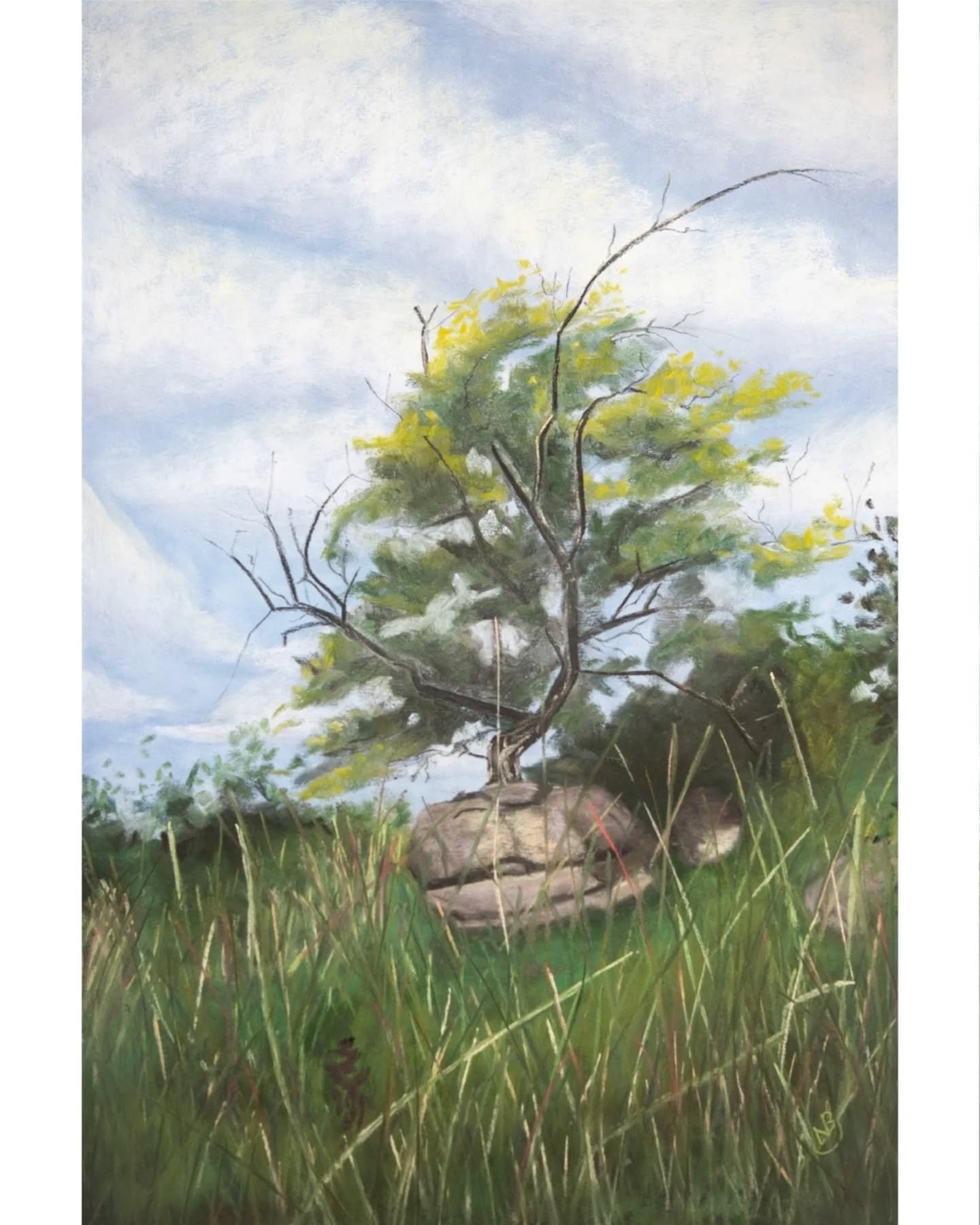 Some places don't let you go. The Konza is one of them.
.
I only lived near the Konza for three years. I didn't expect it to steal my heart the way it did.
.
But that prairie has a way of getting into you quietly. The grass moving in waves. The sky s
