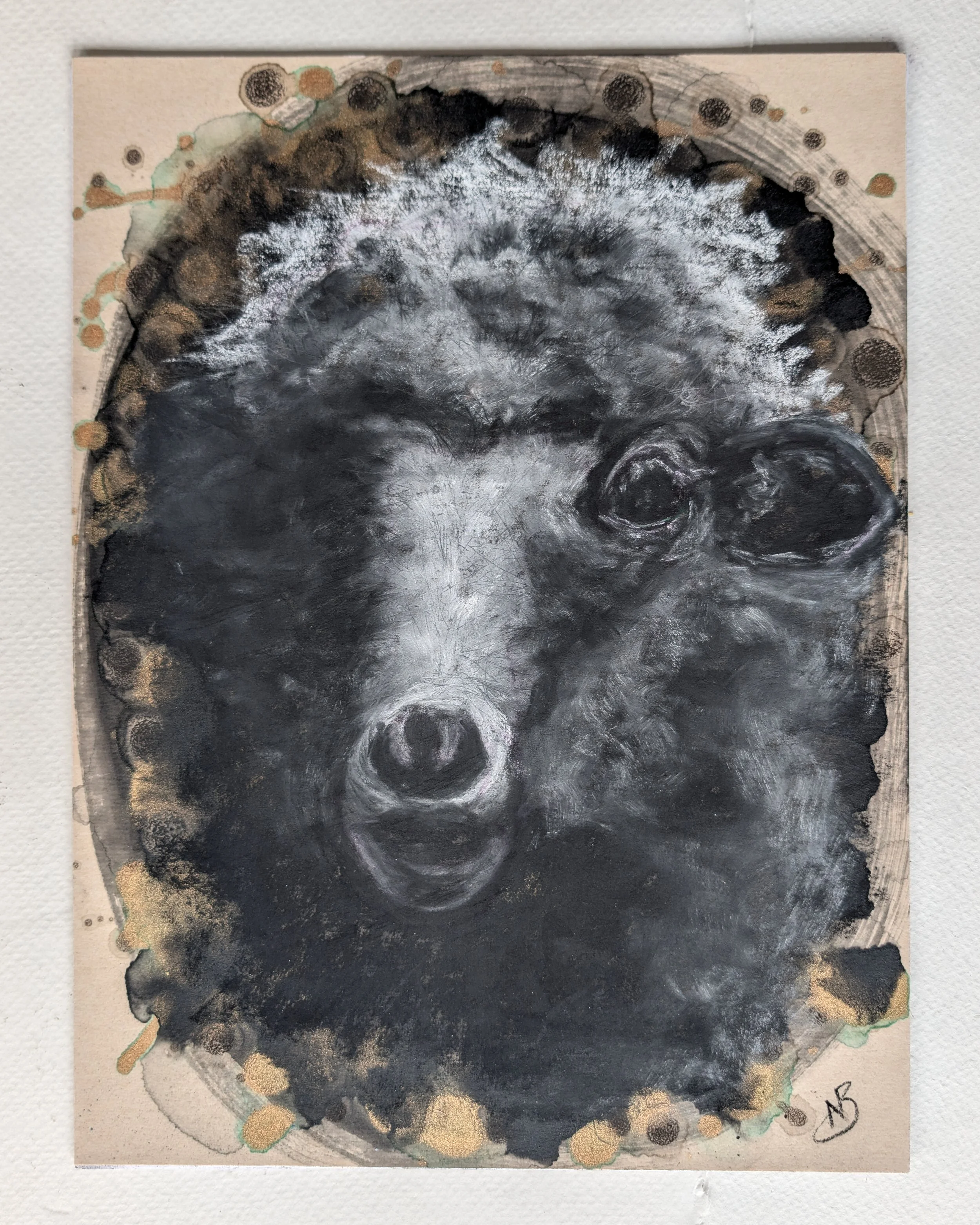 SheepInShadow.jpg