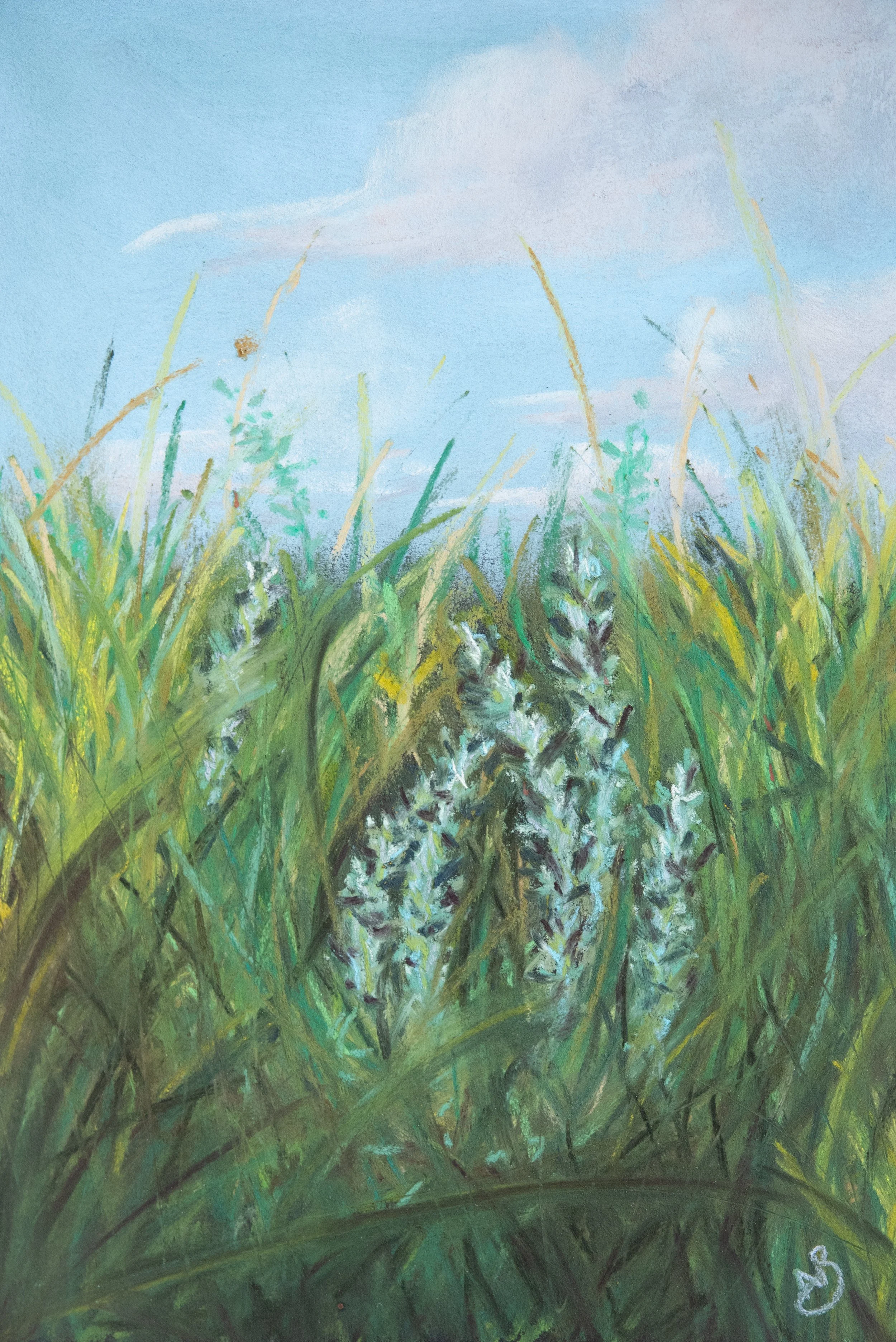 Grounded in Sage 2 - 5 x 7