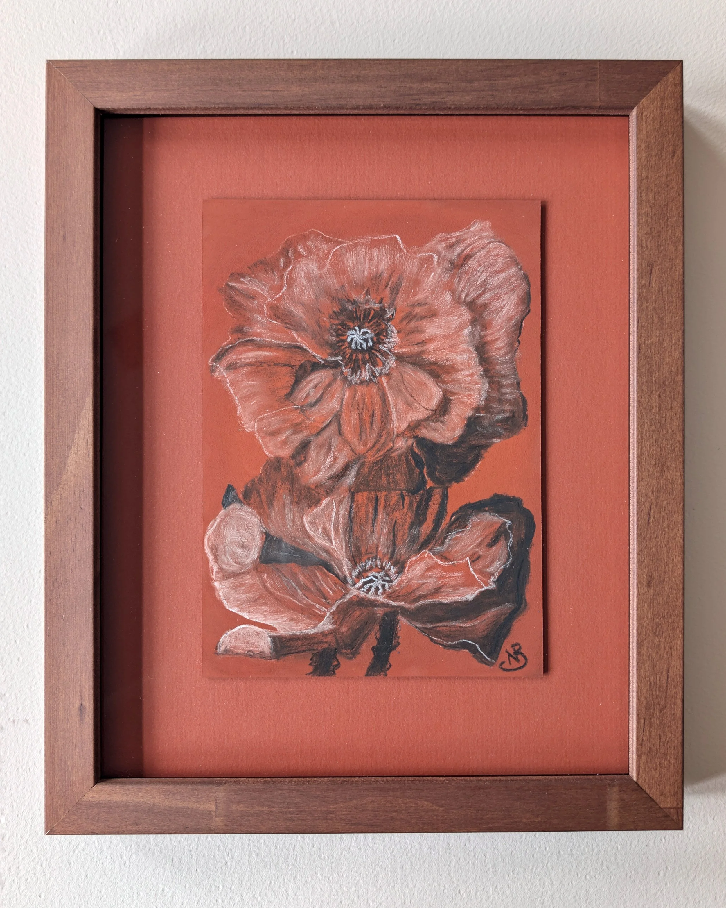 Orange Poppy