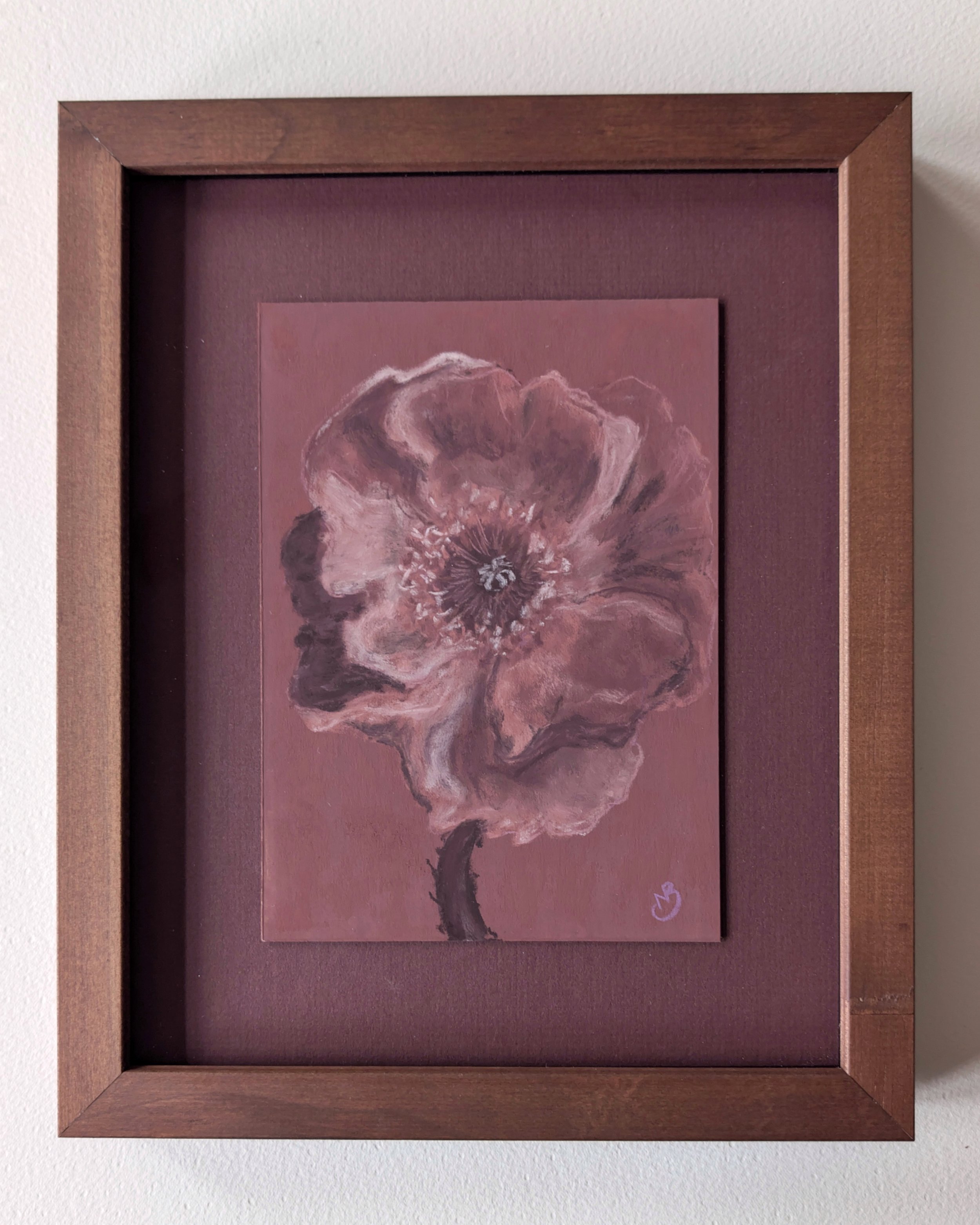 Pink Poppy