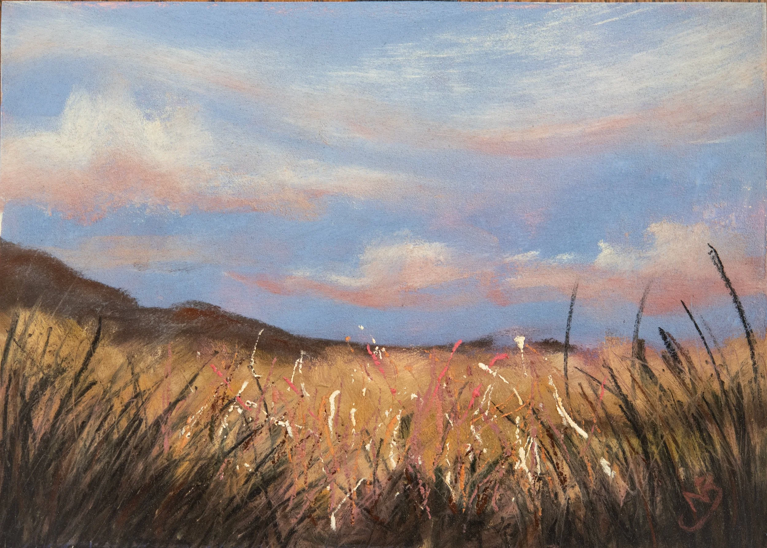 Waking Up With The Prairie