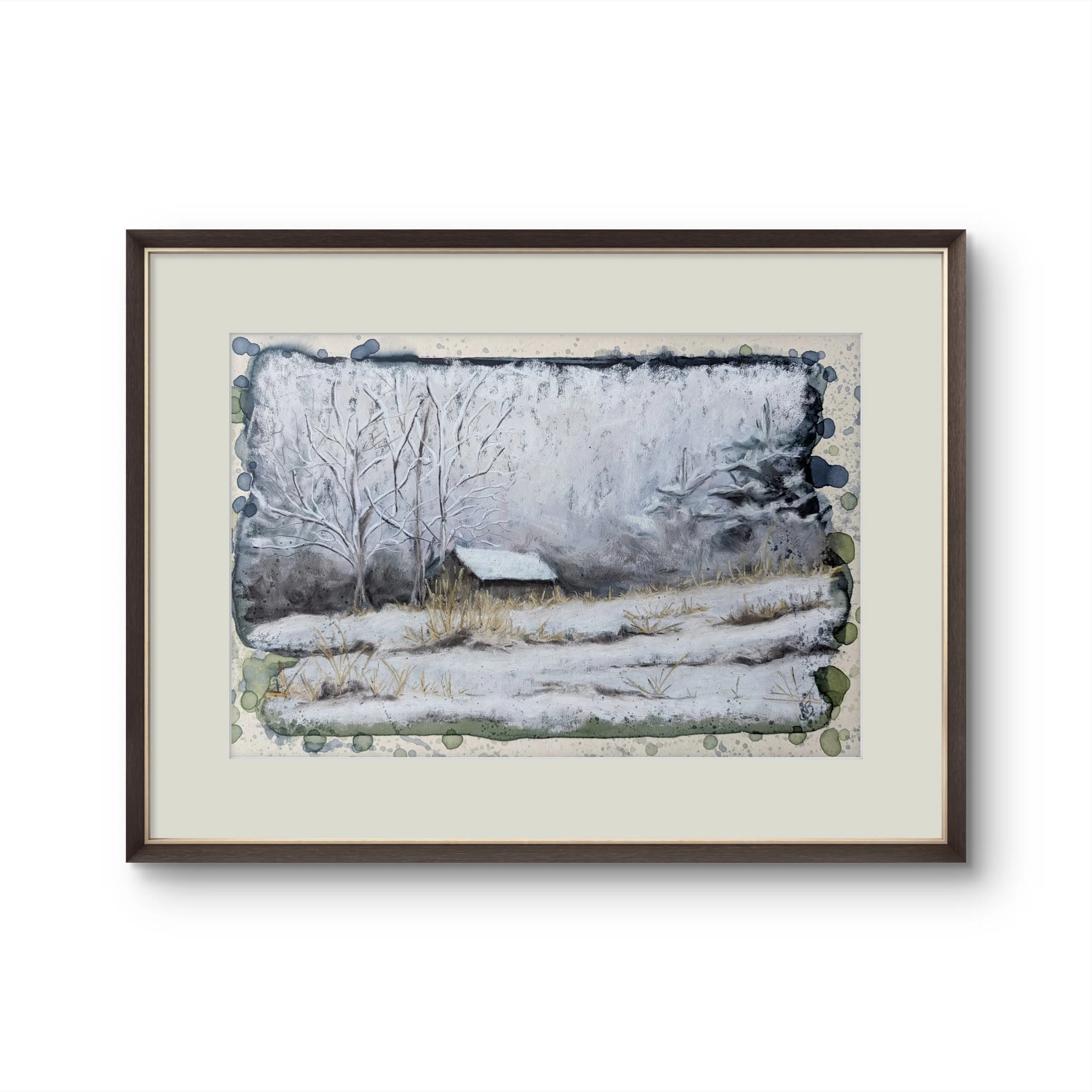 Where The Understory Shows