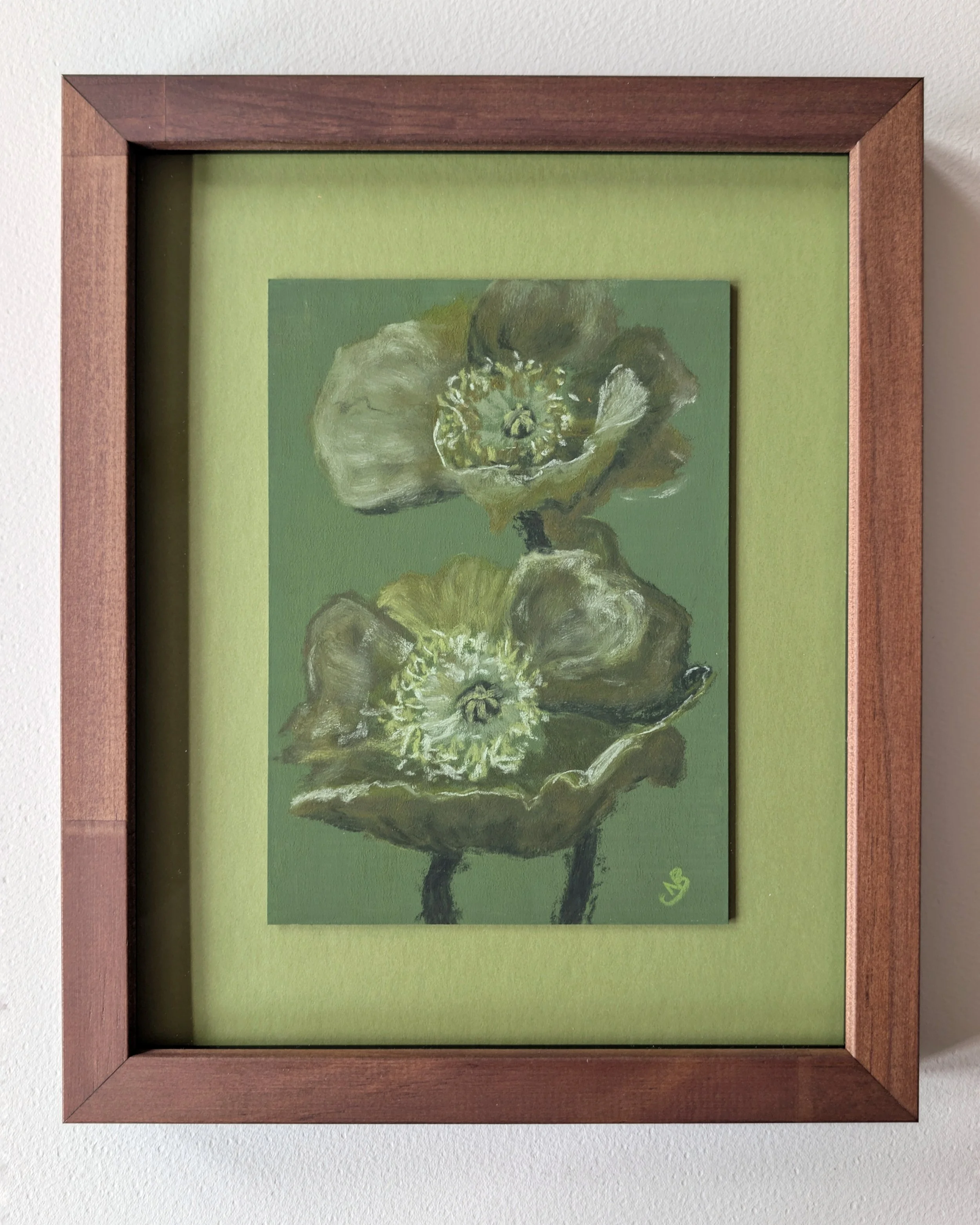 Green Poppy