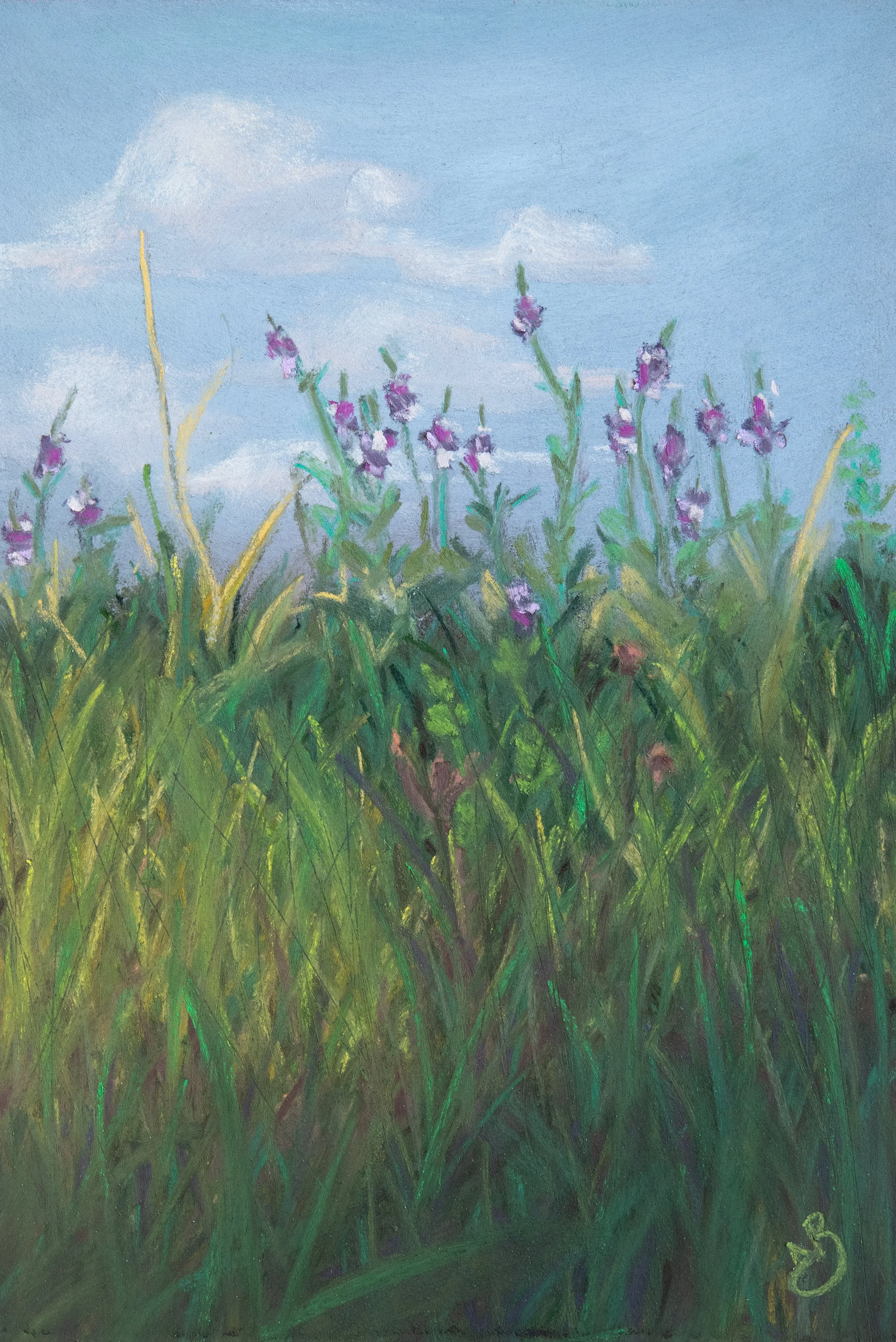 Prairie Sparklers 2 - 5 x 7