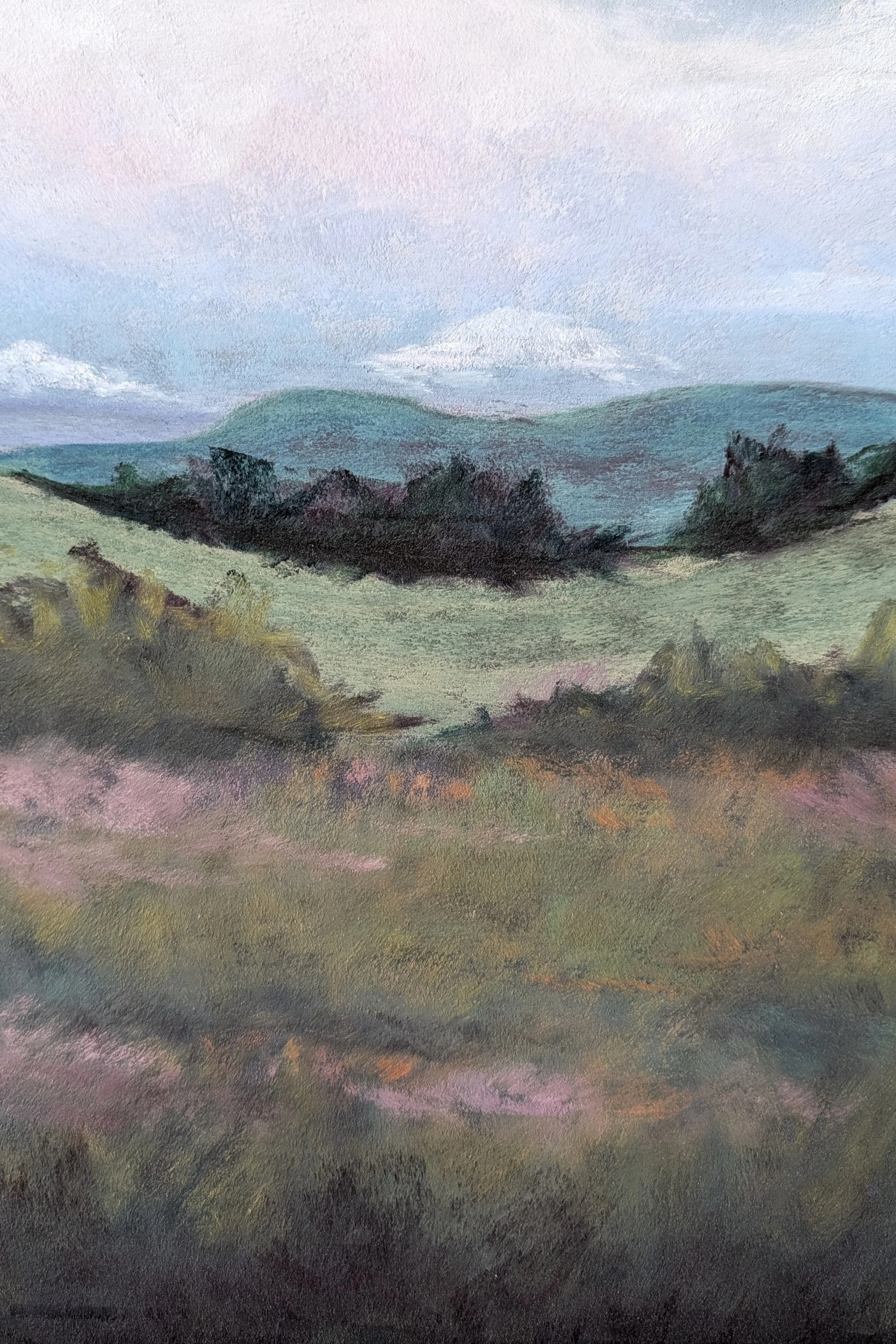 PXL_20260227_183331124 (1).jpg