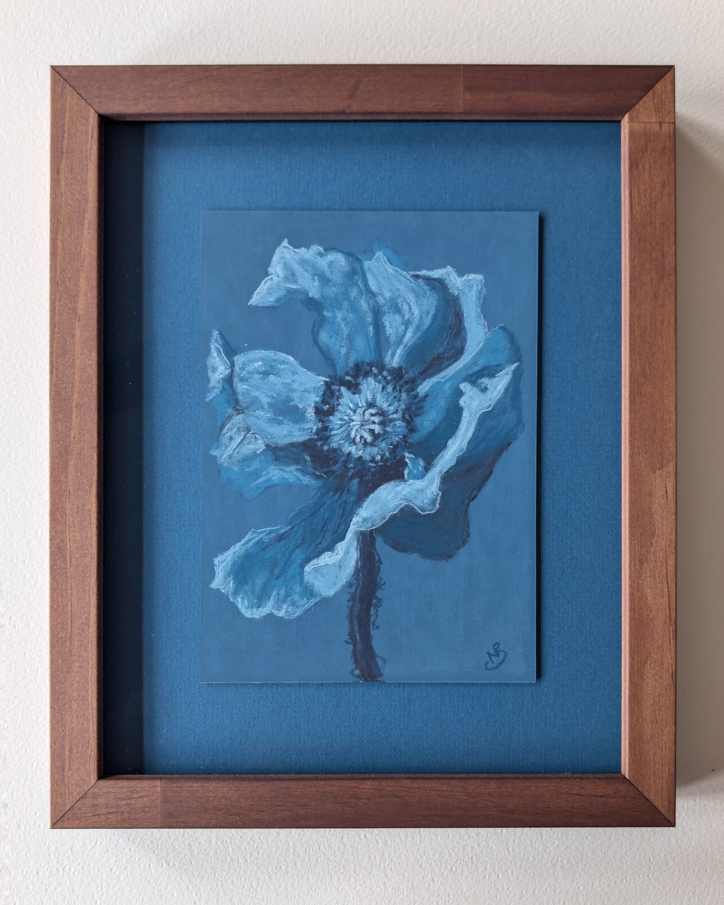 Blue Poppy