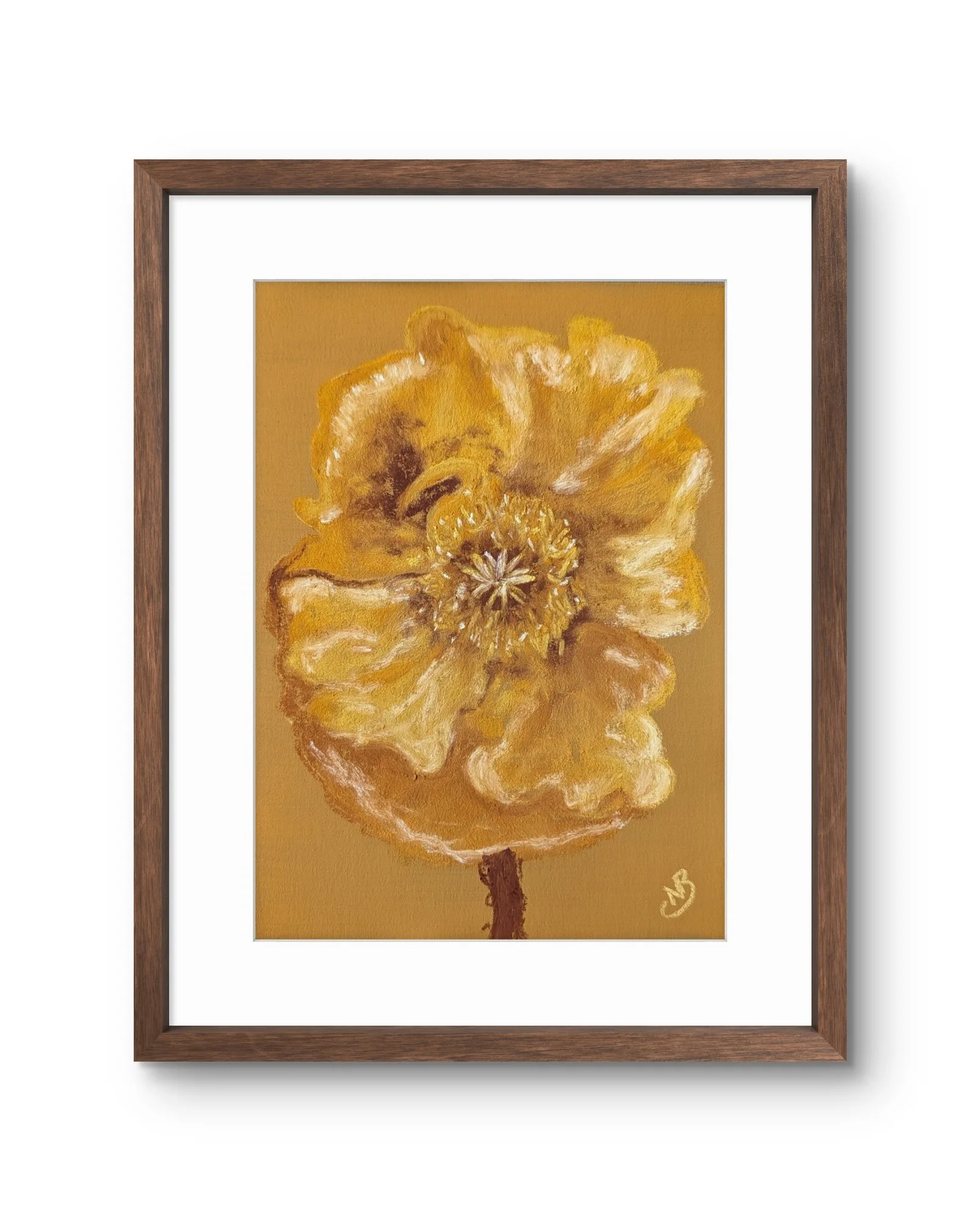 Yellow Poppy