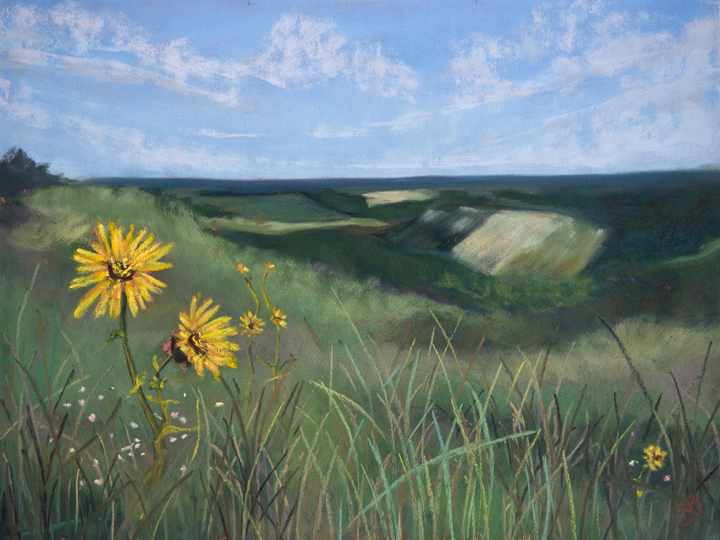 Wildflower Horizon - 9 x 12