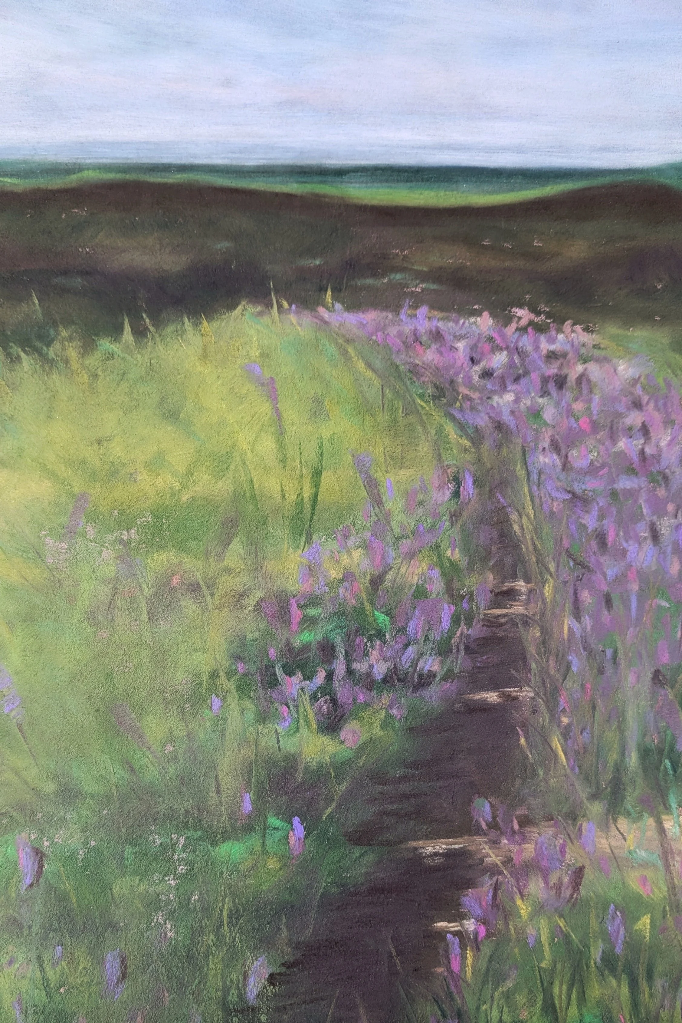 PXL_20260227_183946317 (1) (1).jpg