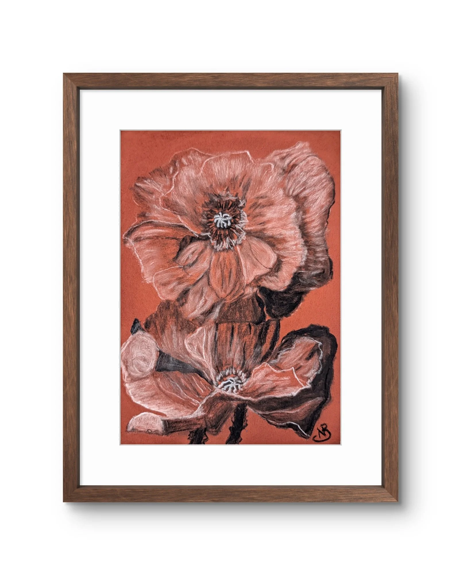 Orange Poppy