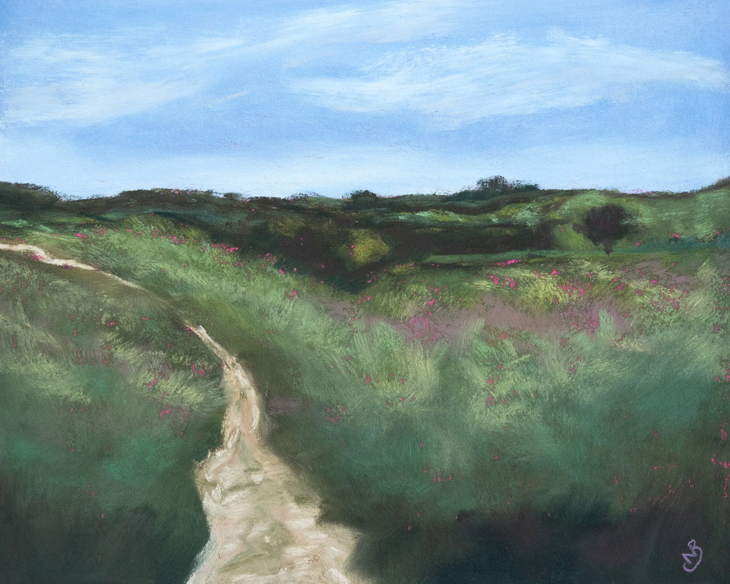 Path Through The Prairie