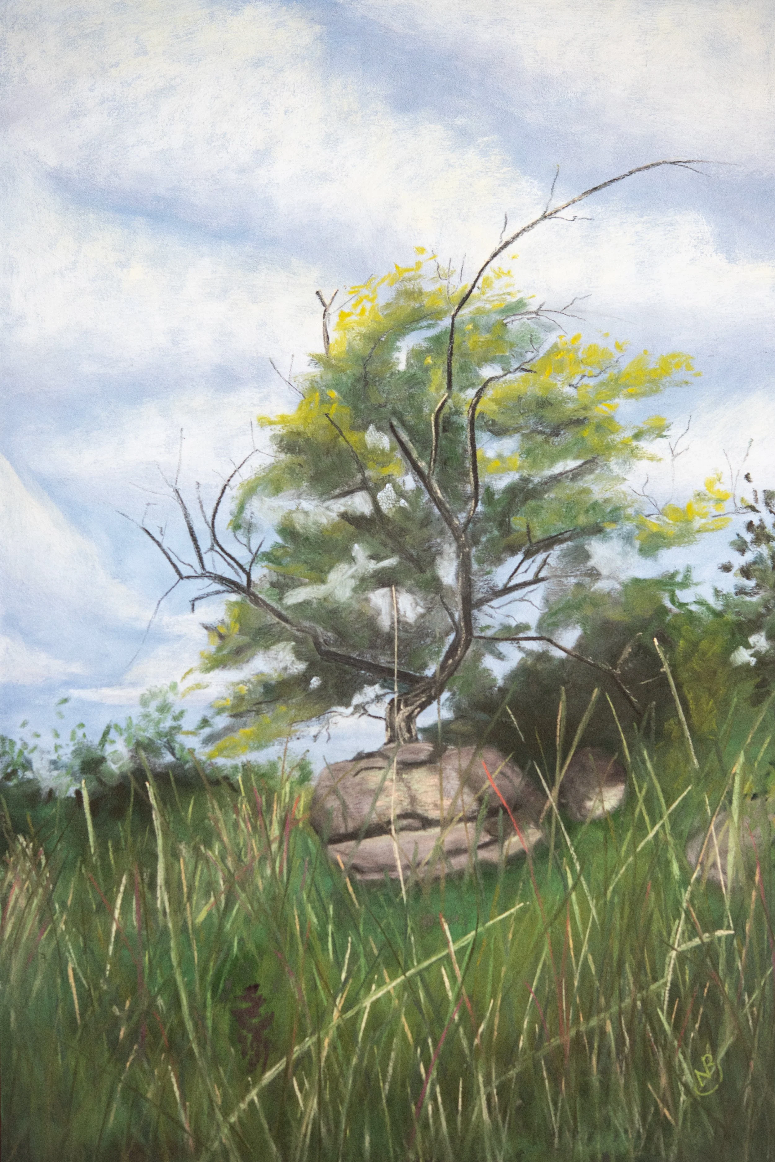 Between a Rock and a Hard Place - 12 x 18