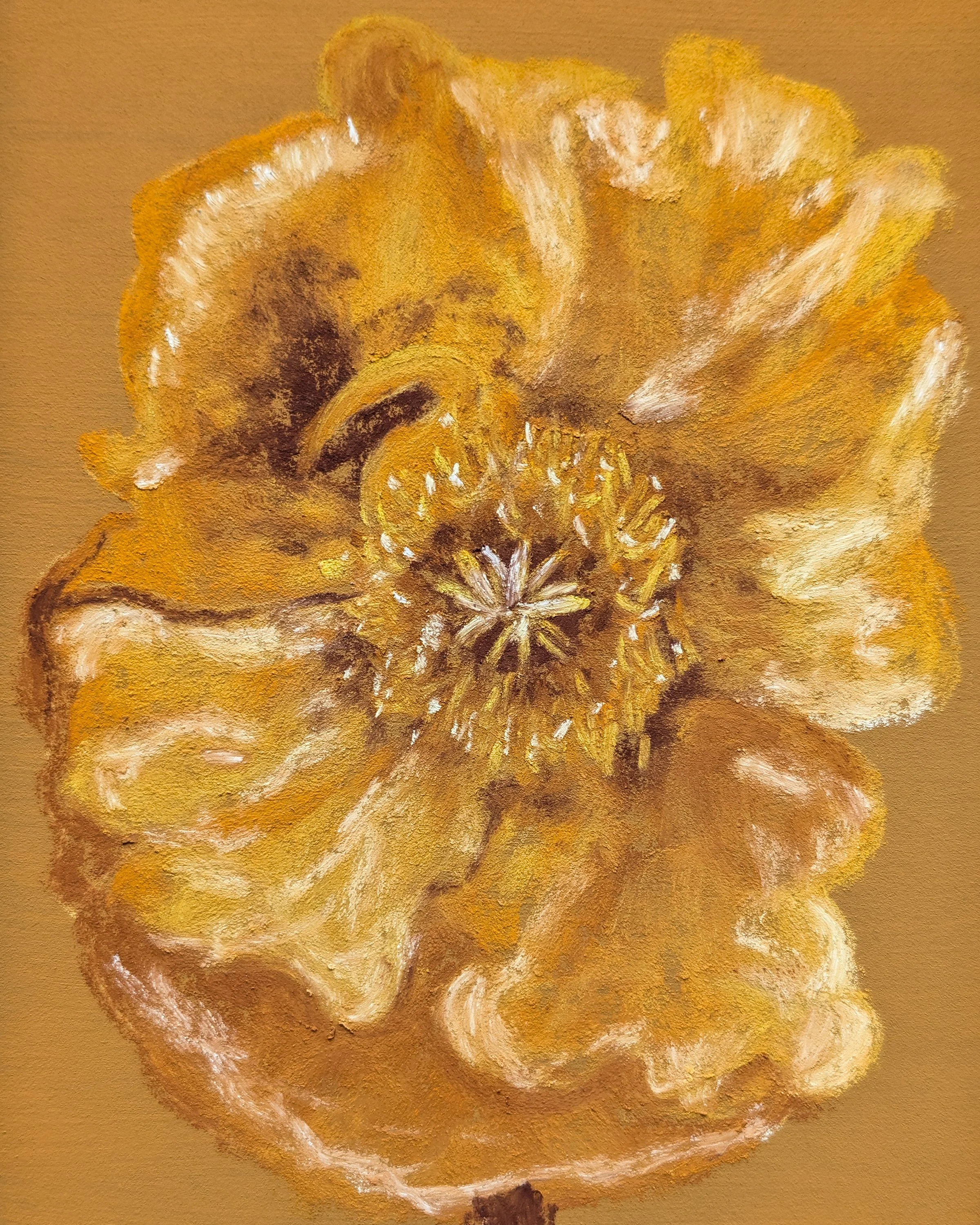 YellowPoppyPrint-8x10WEB.jpg