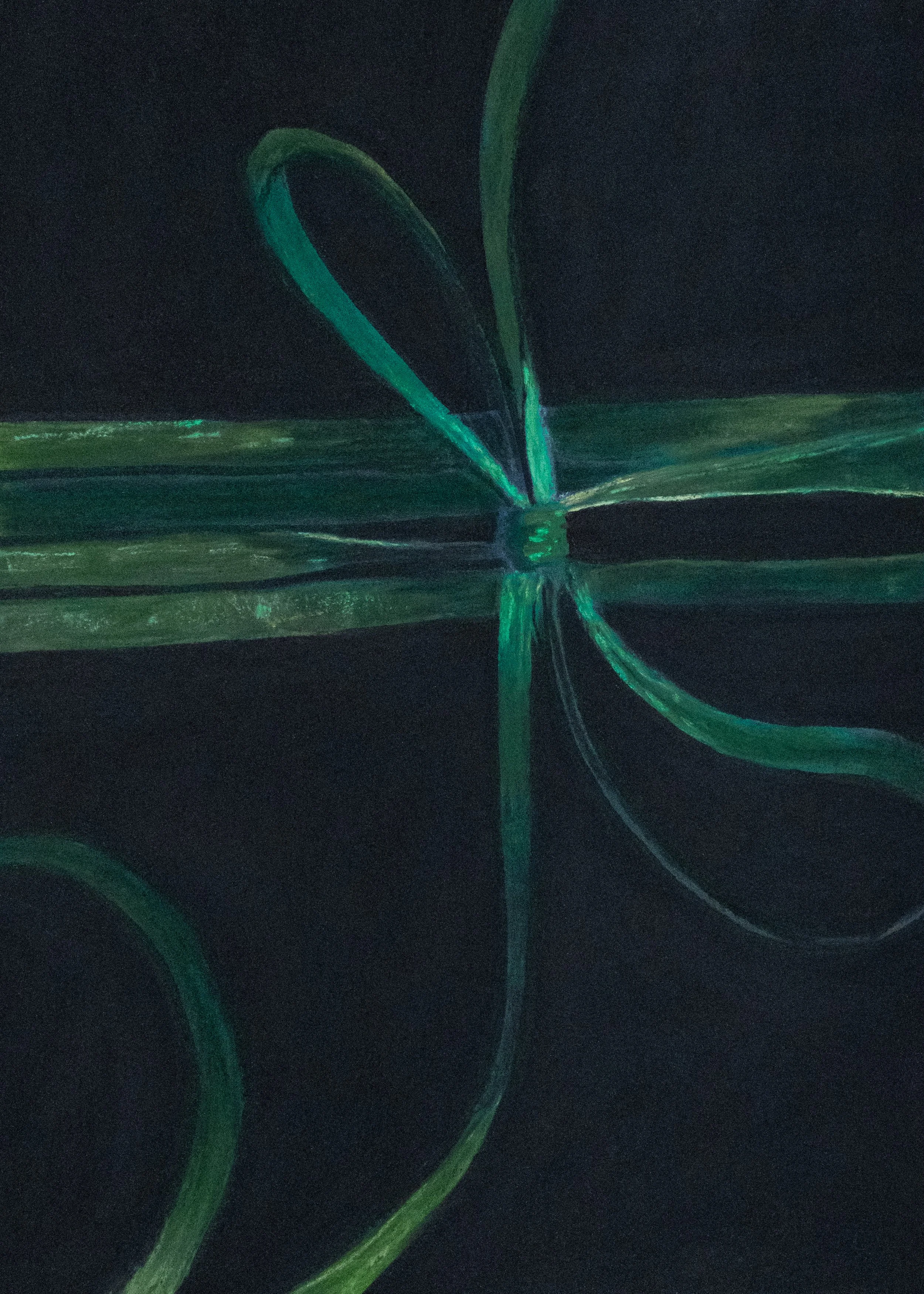 Green Velvet Package Bow