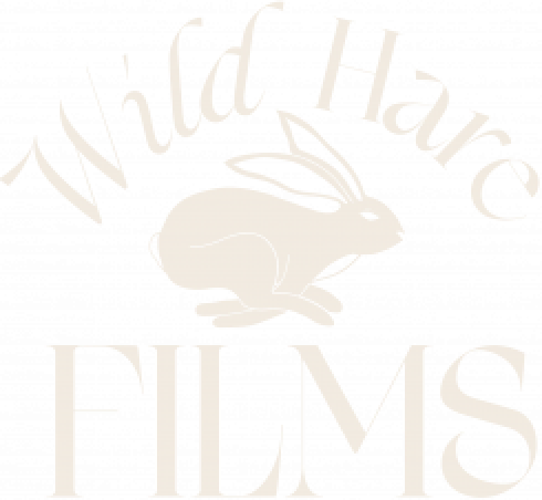 Wild Hare Films