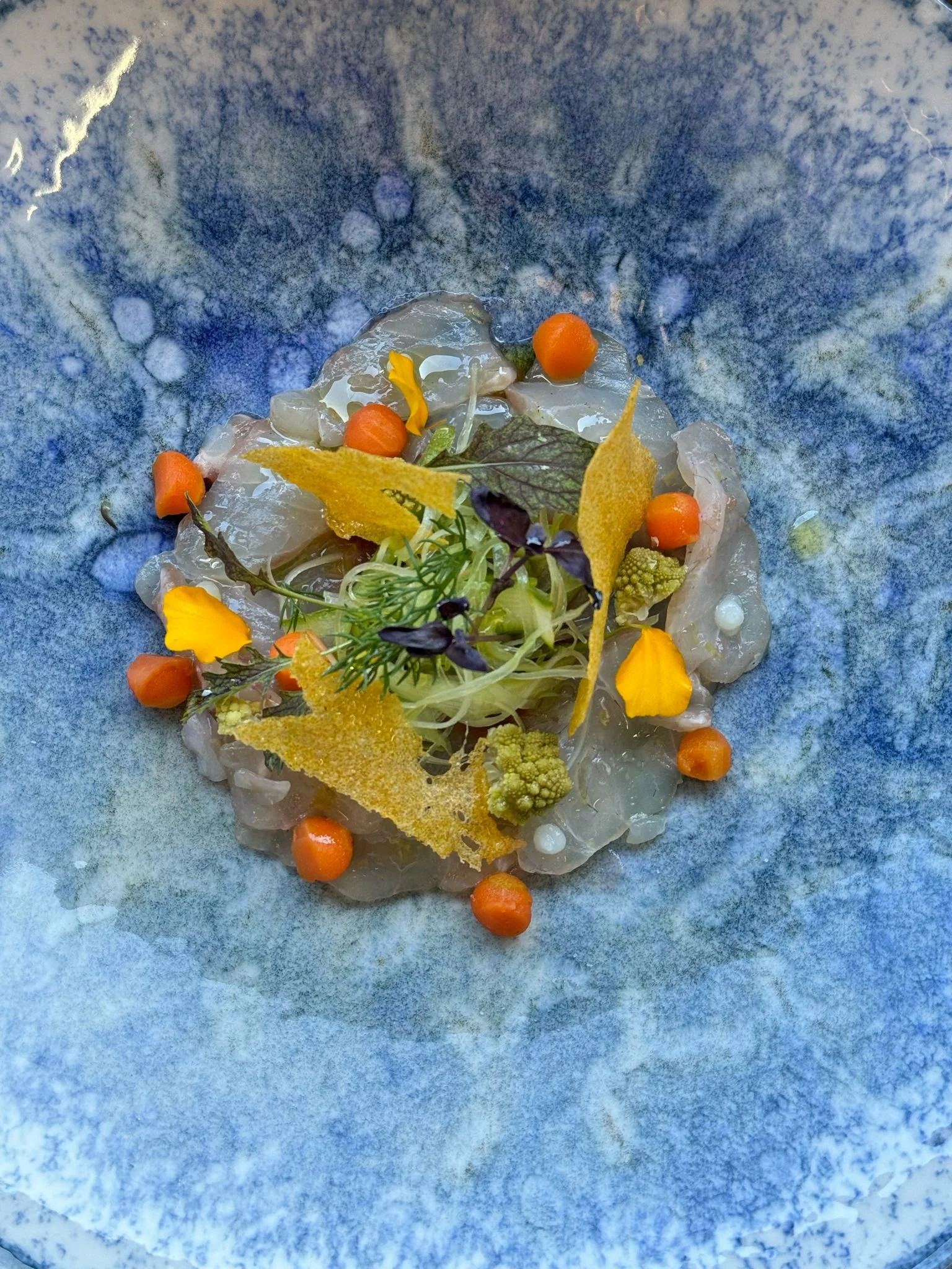 WhatsApp Image 2025-03-22 at 11.23.10.jpeg