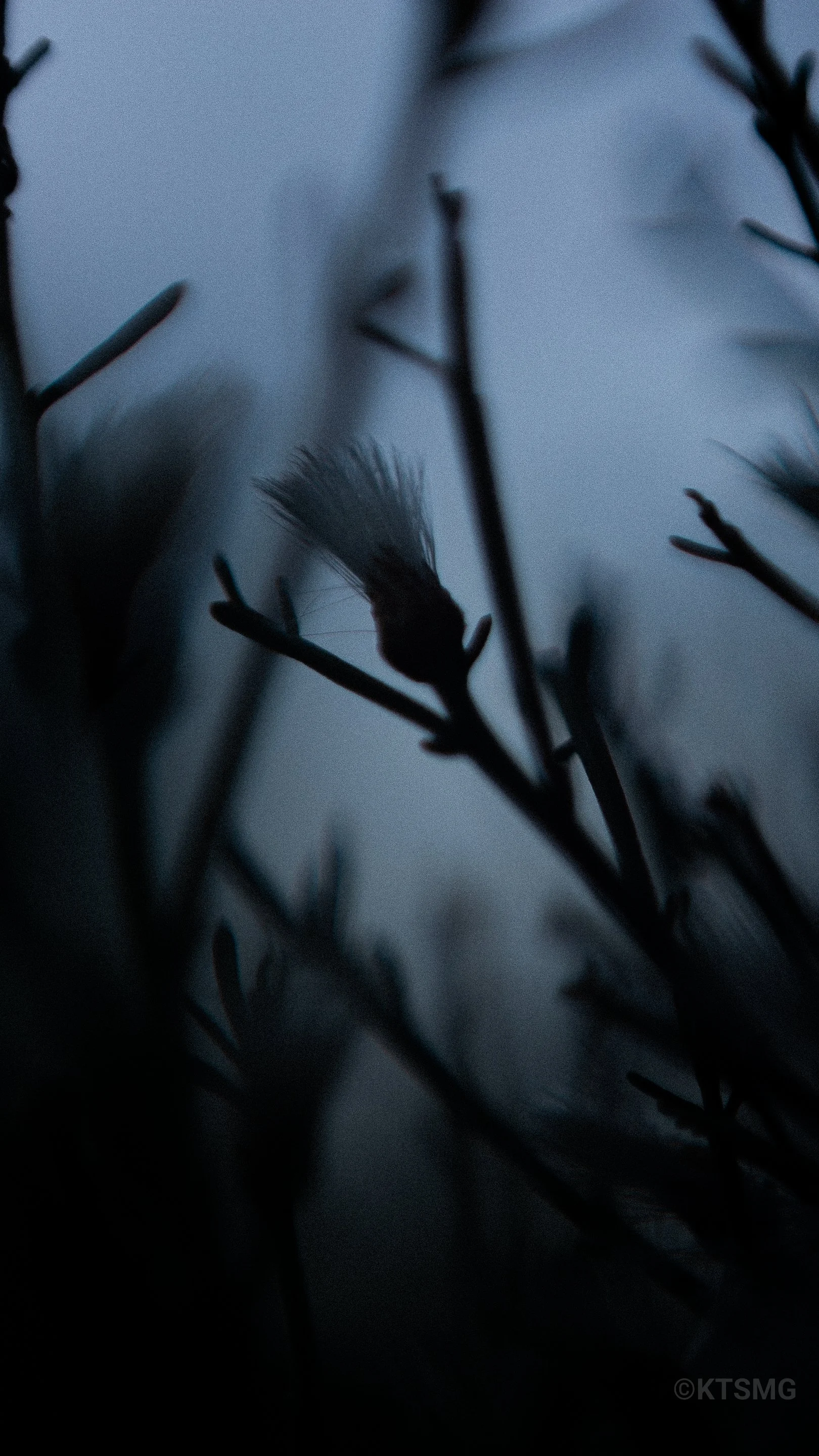 20220121-1K4A3755.jpg