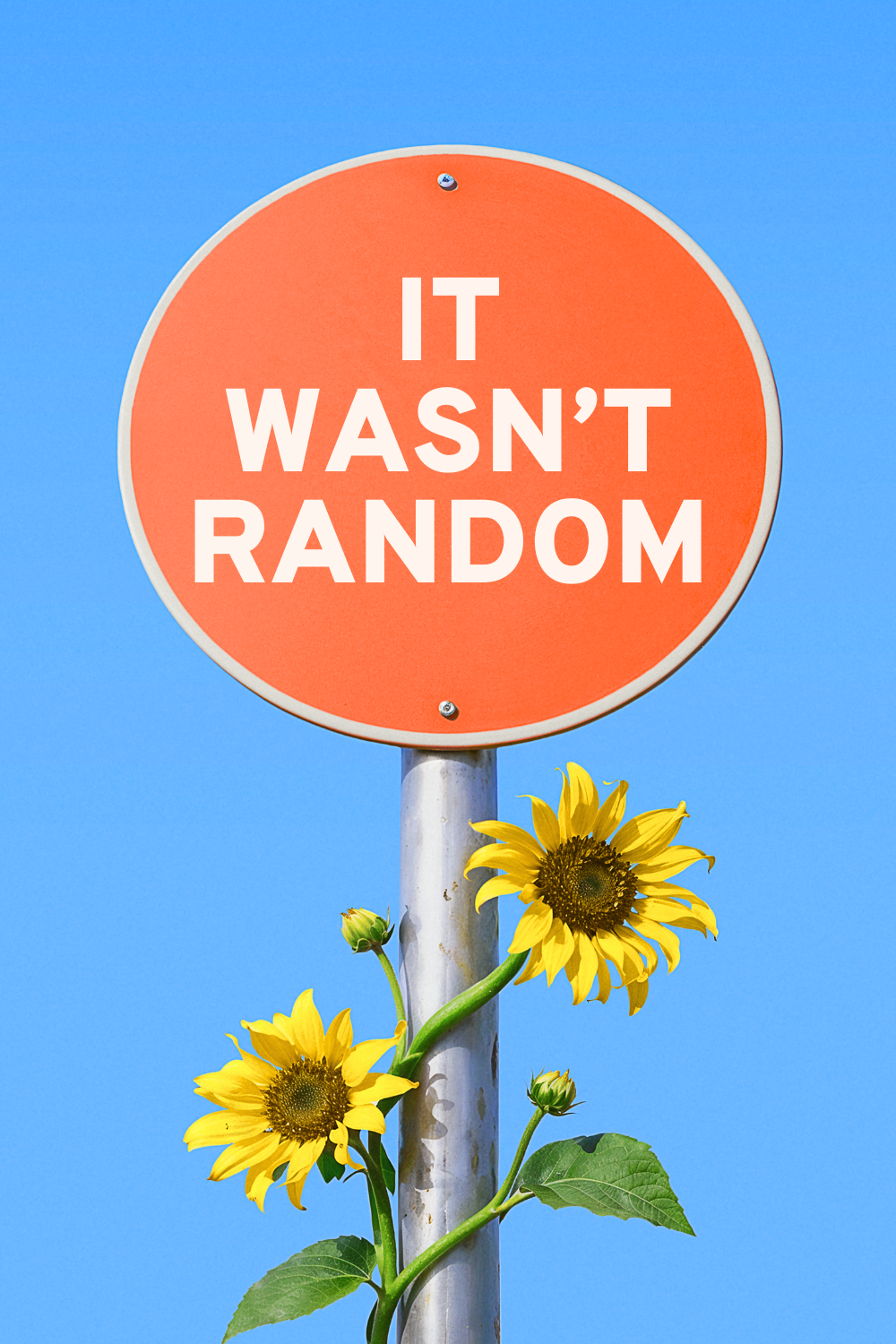 Spiritual message for today: it was Not random