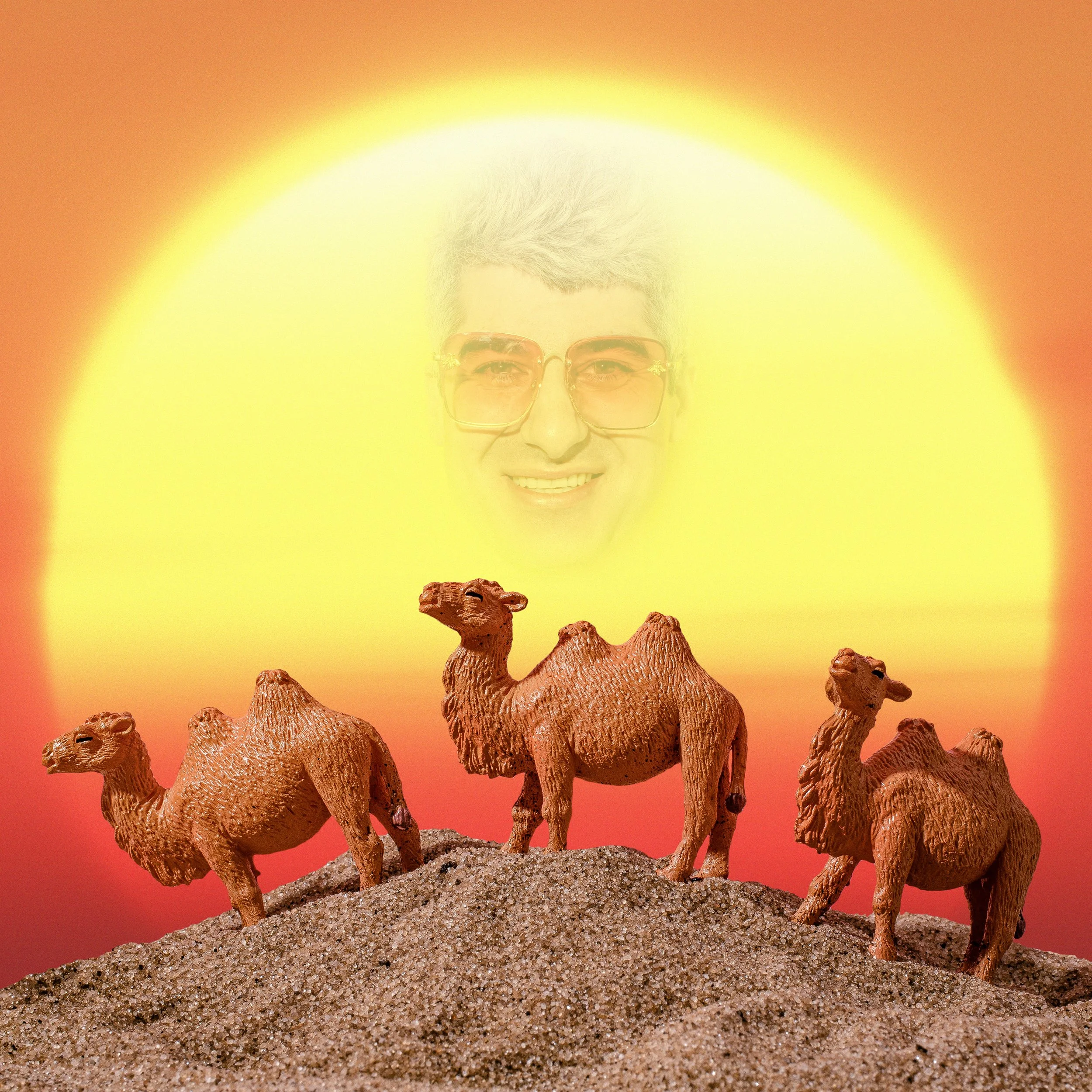 Dr. Honeybrew, Turkish coffee fortune teller in New York City, appearing as the sun over toy camels on a sand dune