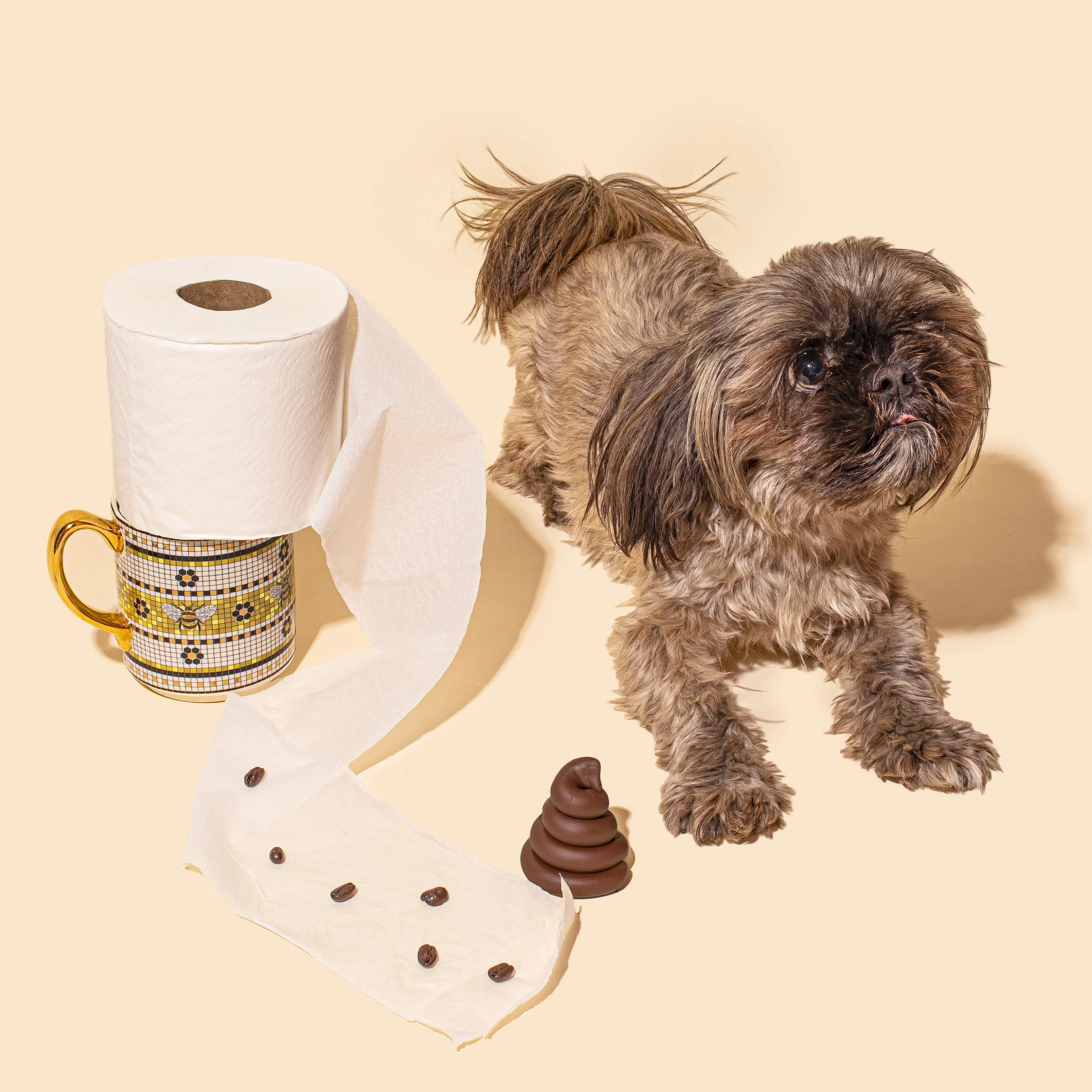 Why does coffee make you poop? — Dr. Honeybrew's Turkish Coffee Room