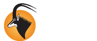 Diana Konservering