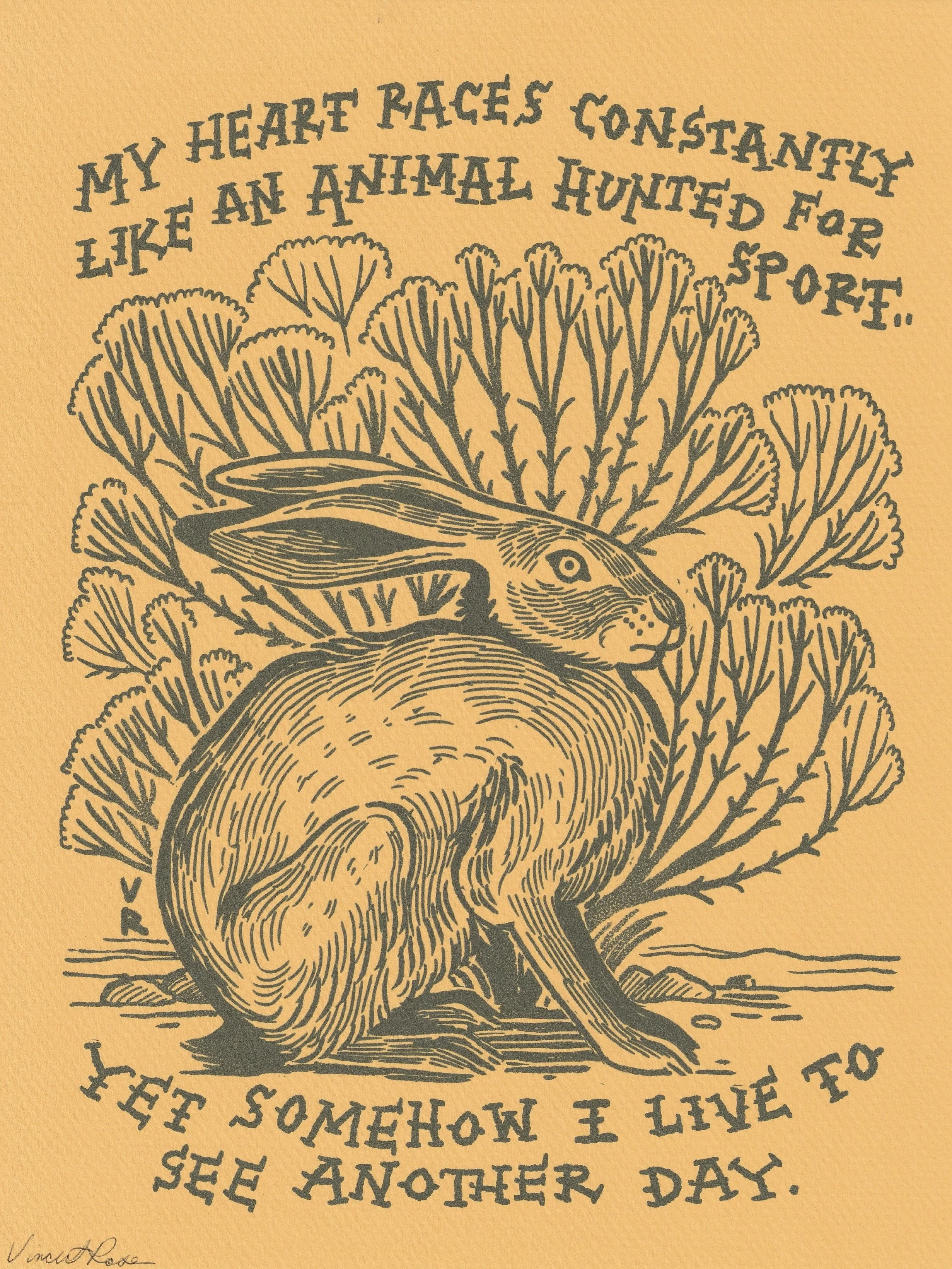 PRINT - Jackrabbit