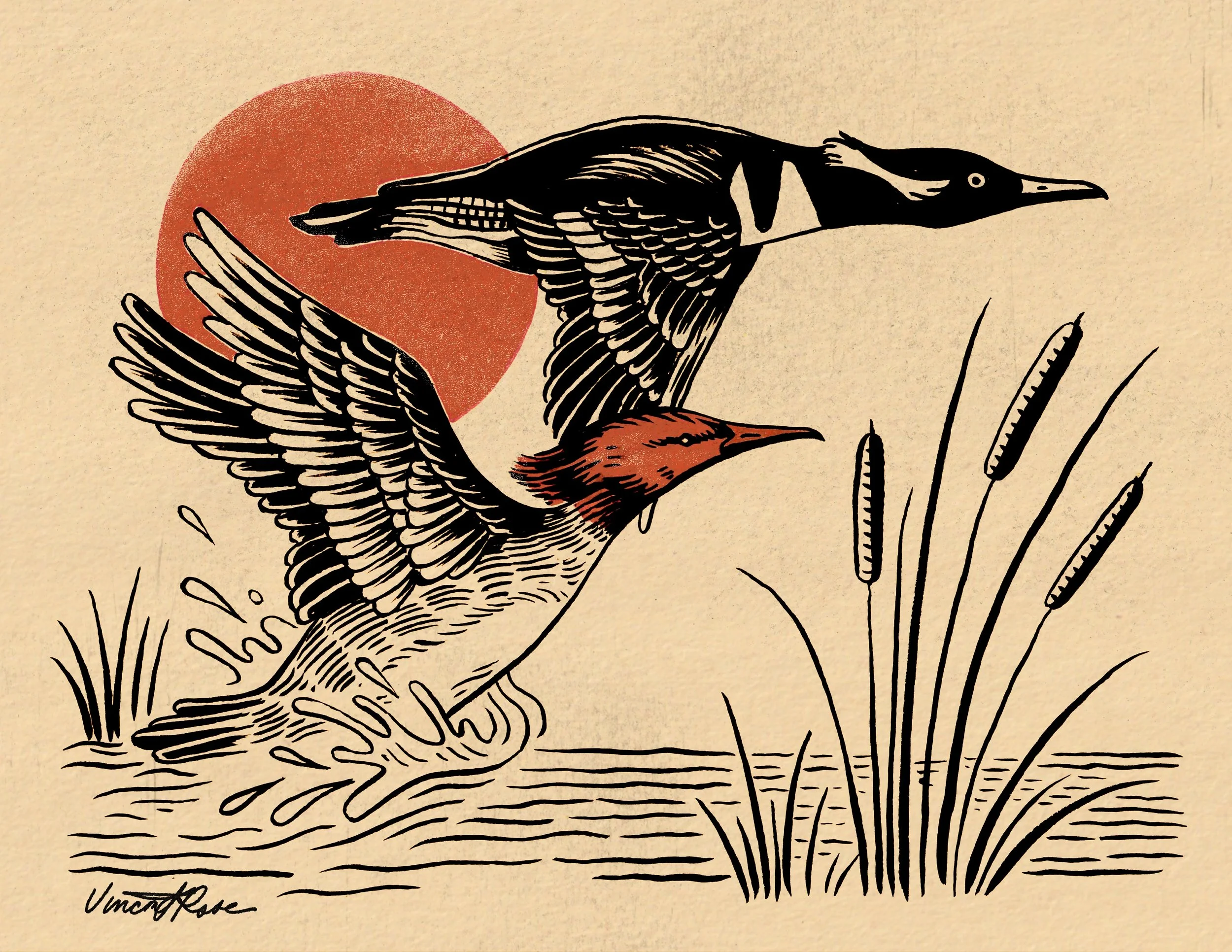 PRINT - "Hooded Mergansers"