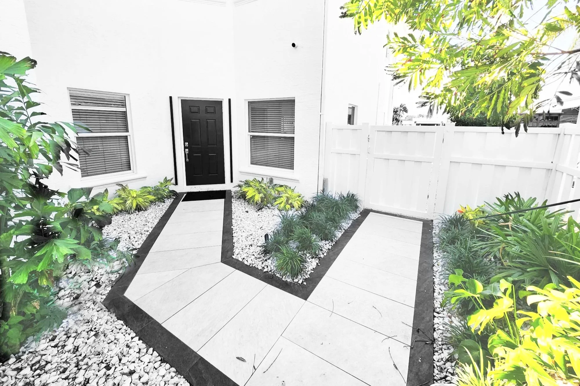 Black | White Garden