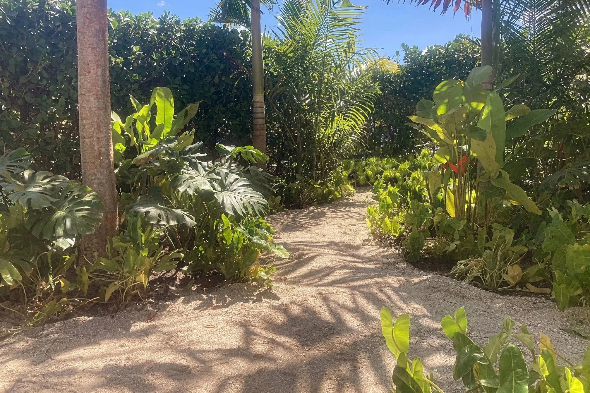 Jungle Beach